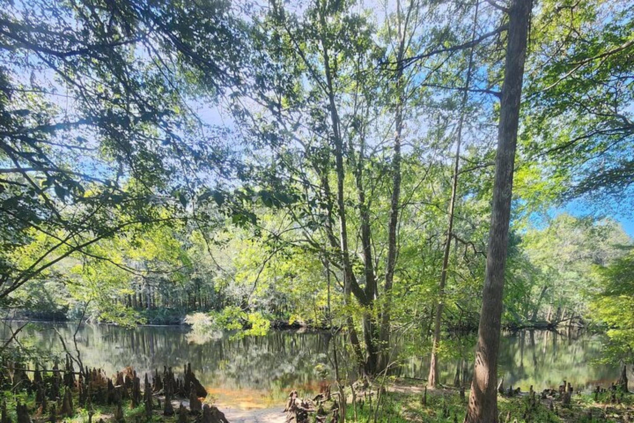 Gilchrist Blue Spring Clear Glass Bottom Kayak Tour 2 hr - Image 3