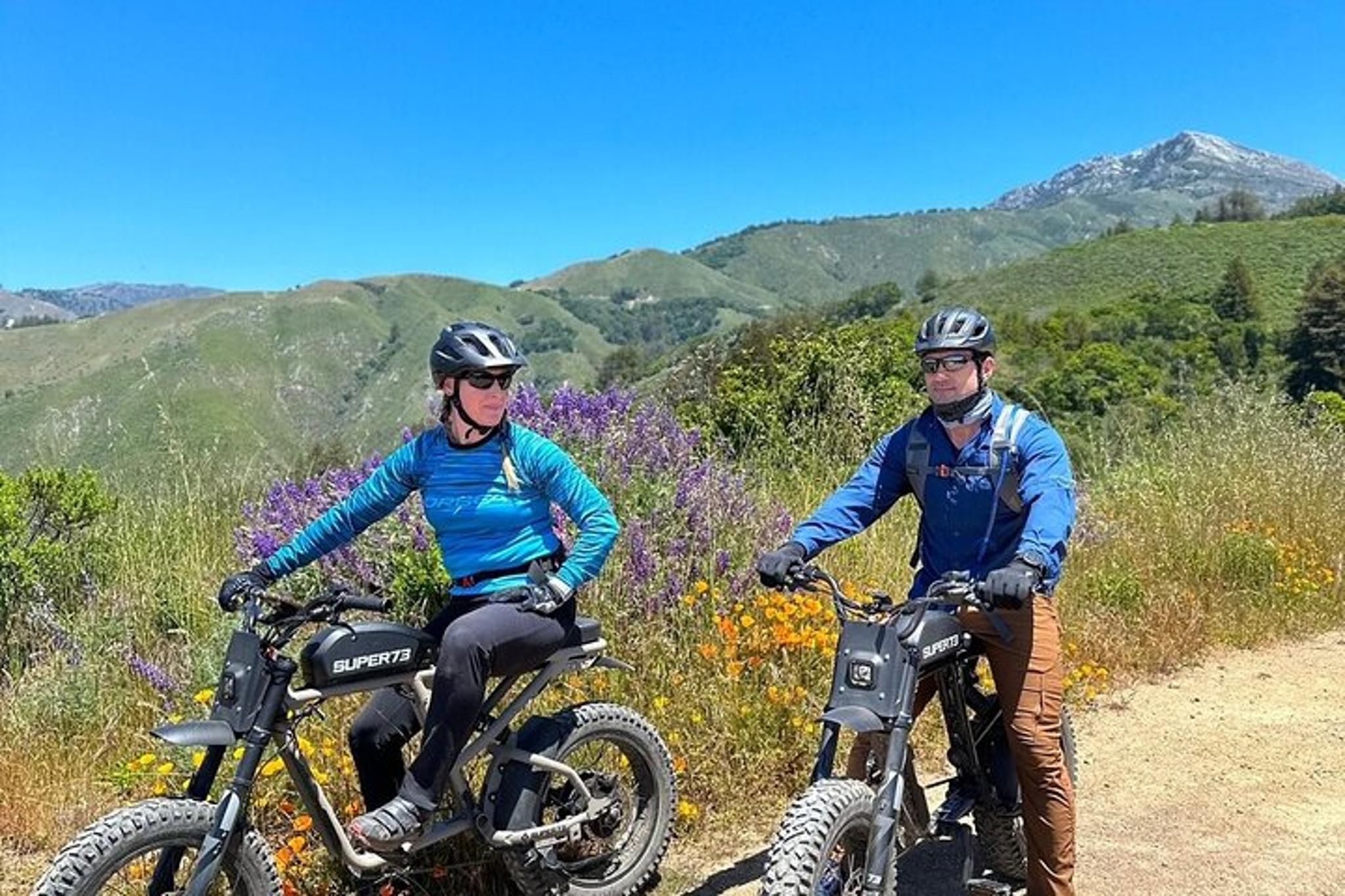 Big Sur Electric Bike Tour Along Old Coast Road - Image 2