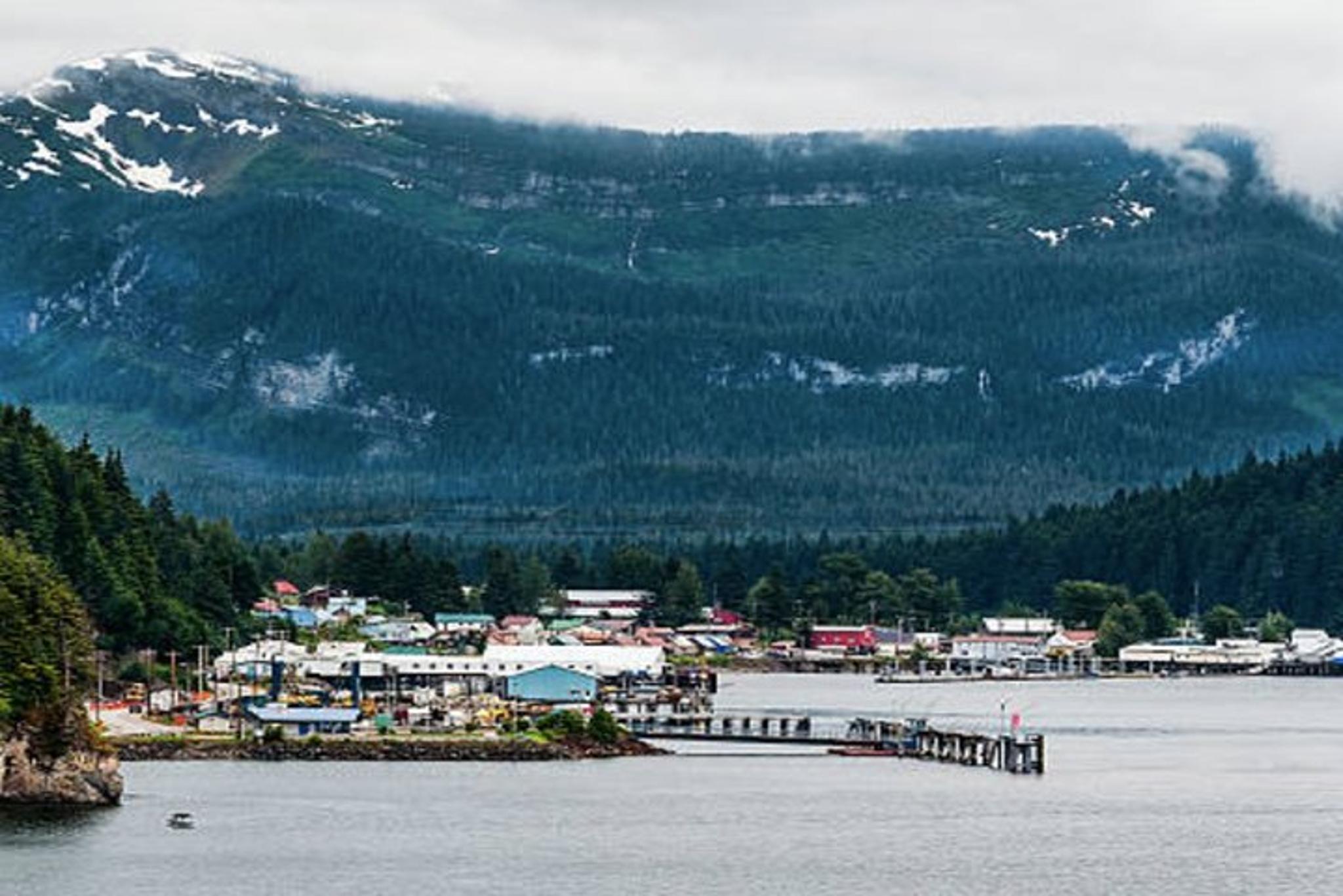 Icy Strait Whale Watching Tour - Image 6