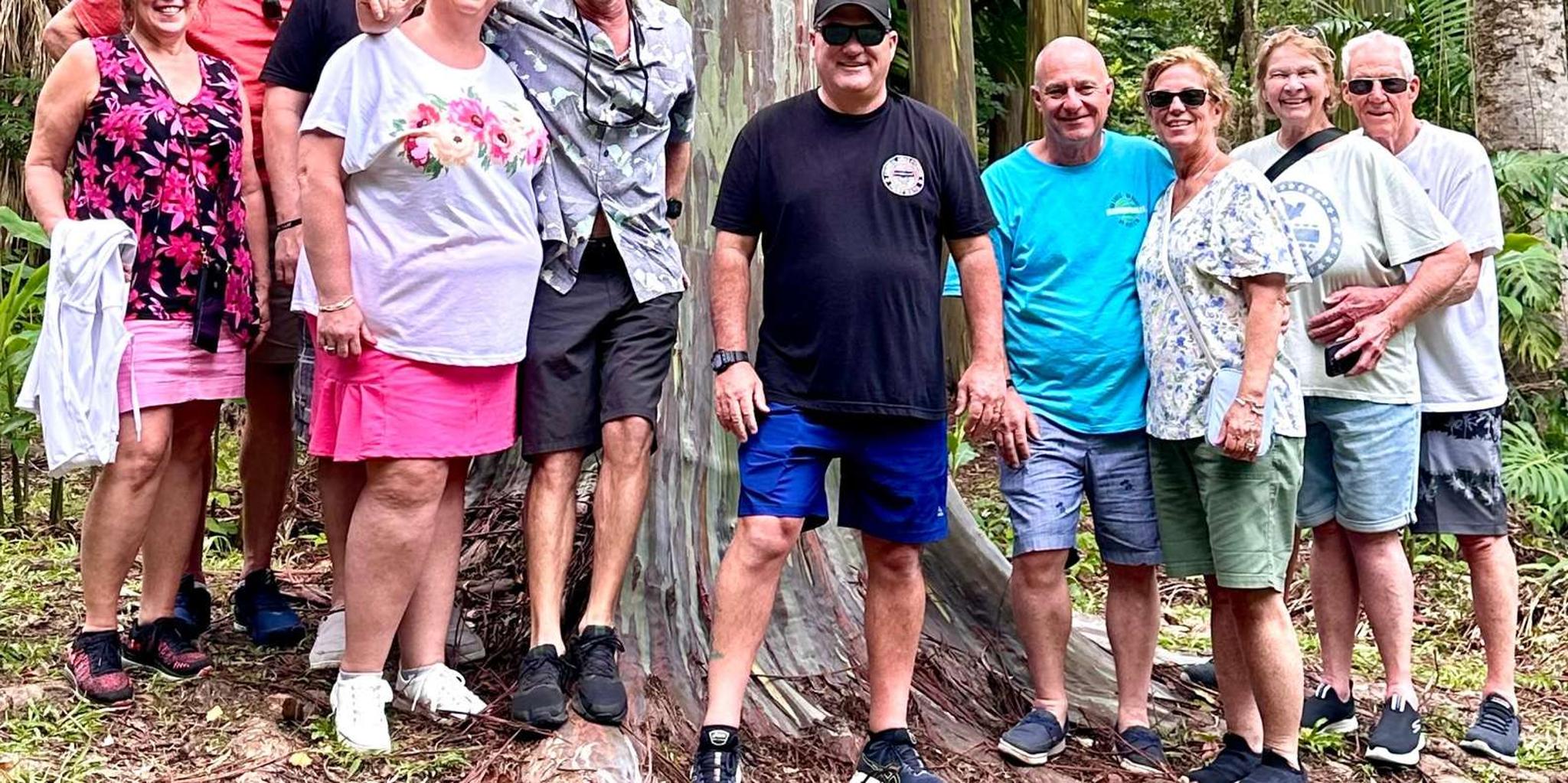 Maui Waterfall and Jungle Tour: Road to Hana - Image 2