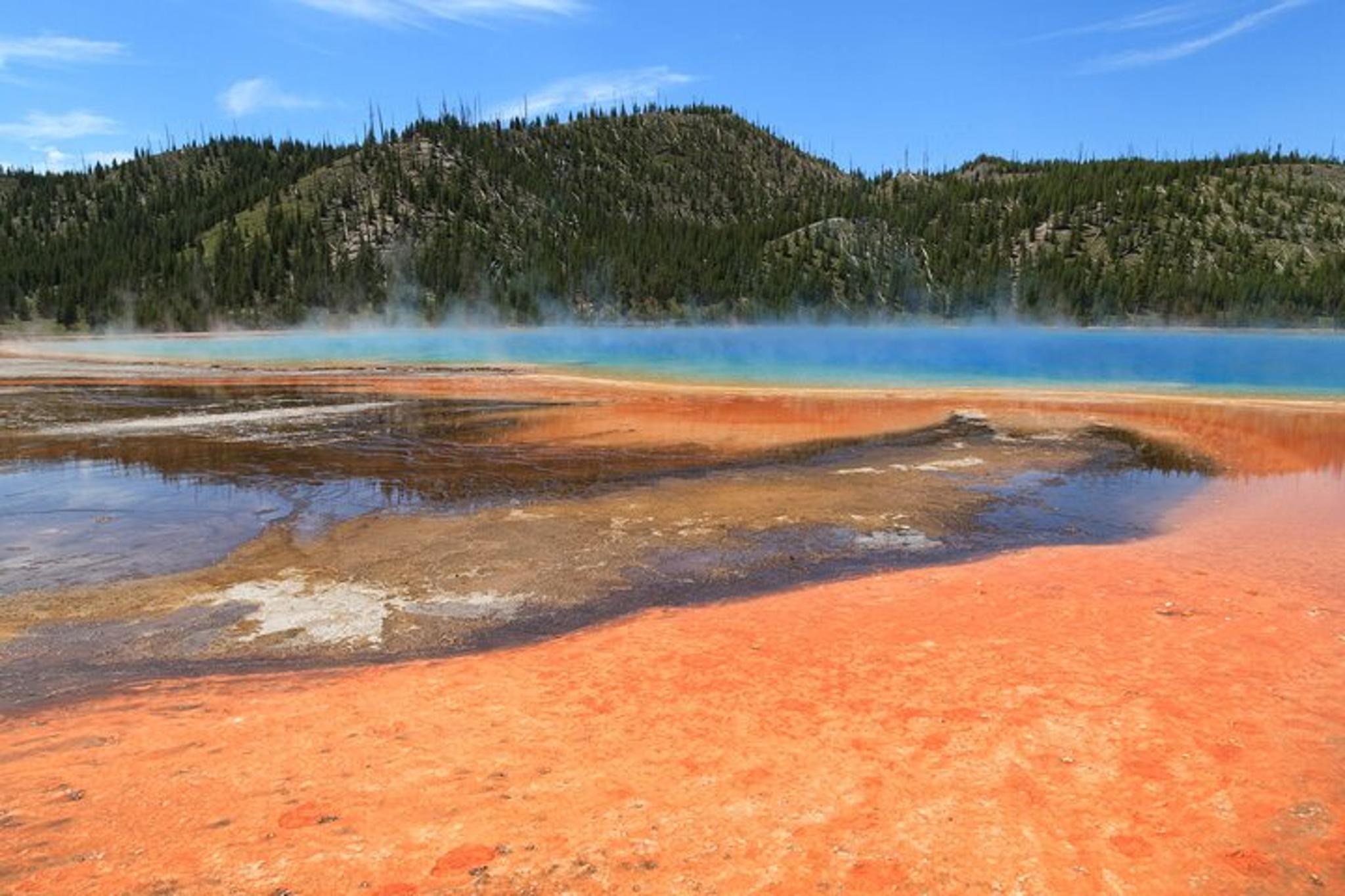Cody Yellowstone National Park Private Day Tour - Image 4