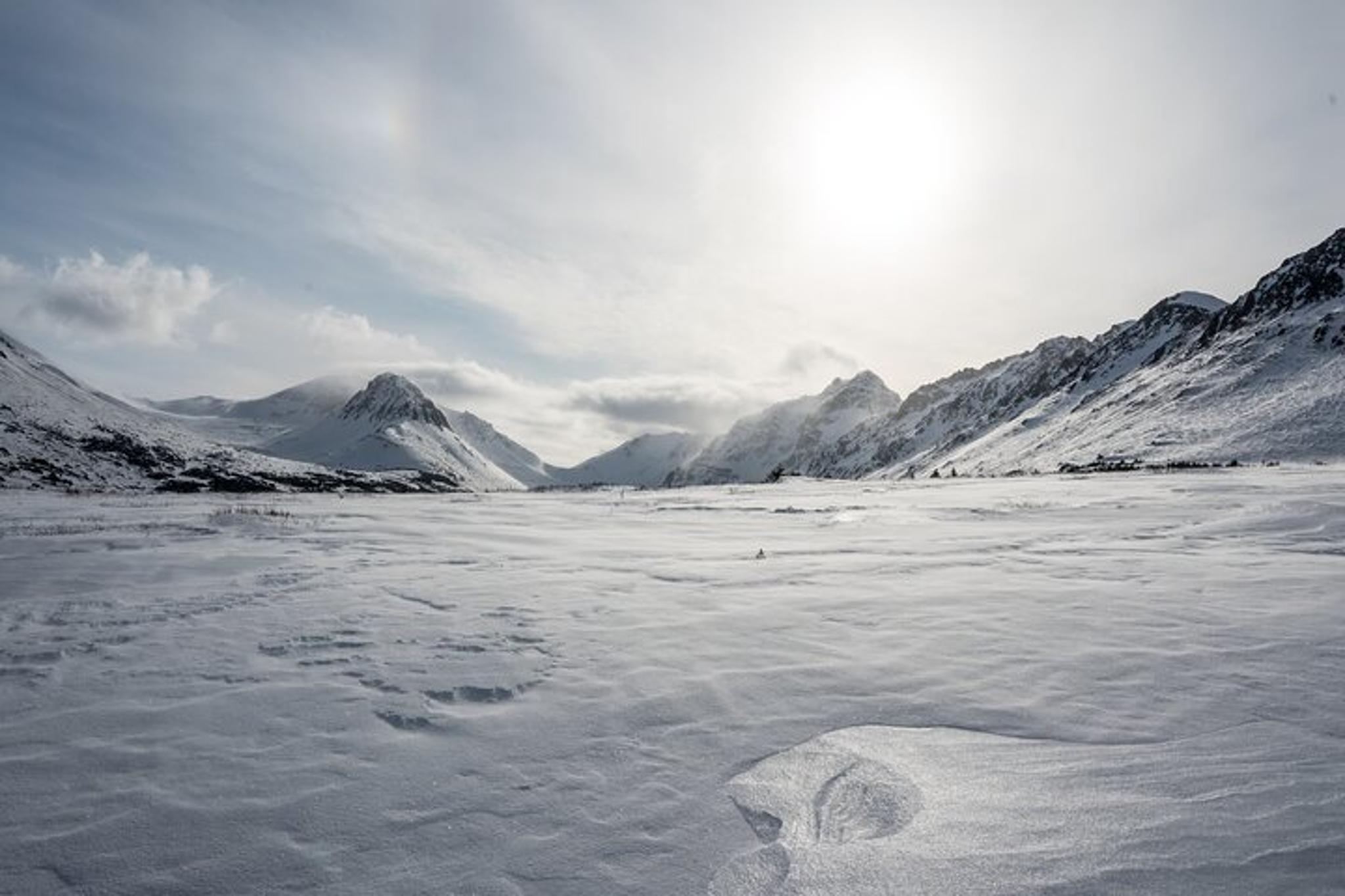 Anchorage Snowshoeing Adventure - Image 4