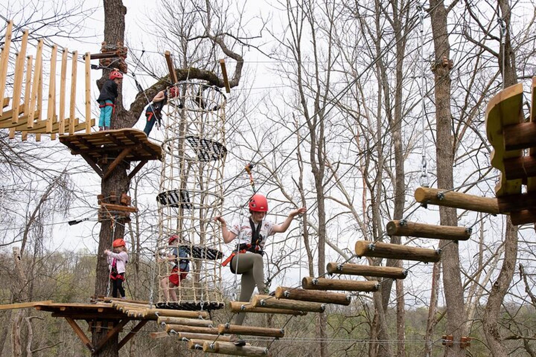 Lexington Aerial Adventure in the Trees 2 hr - Image 3