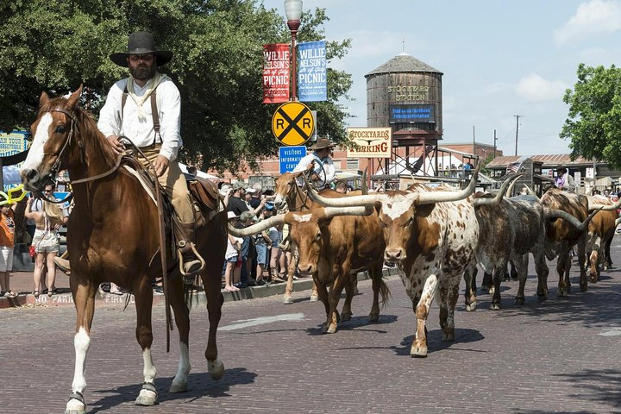Fort Worth Cultural Tour from Dallas
