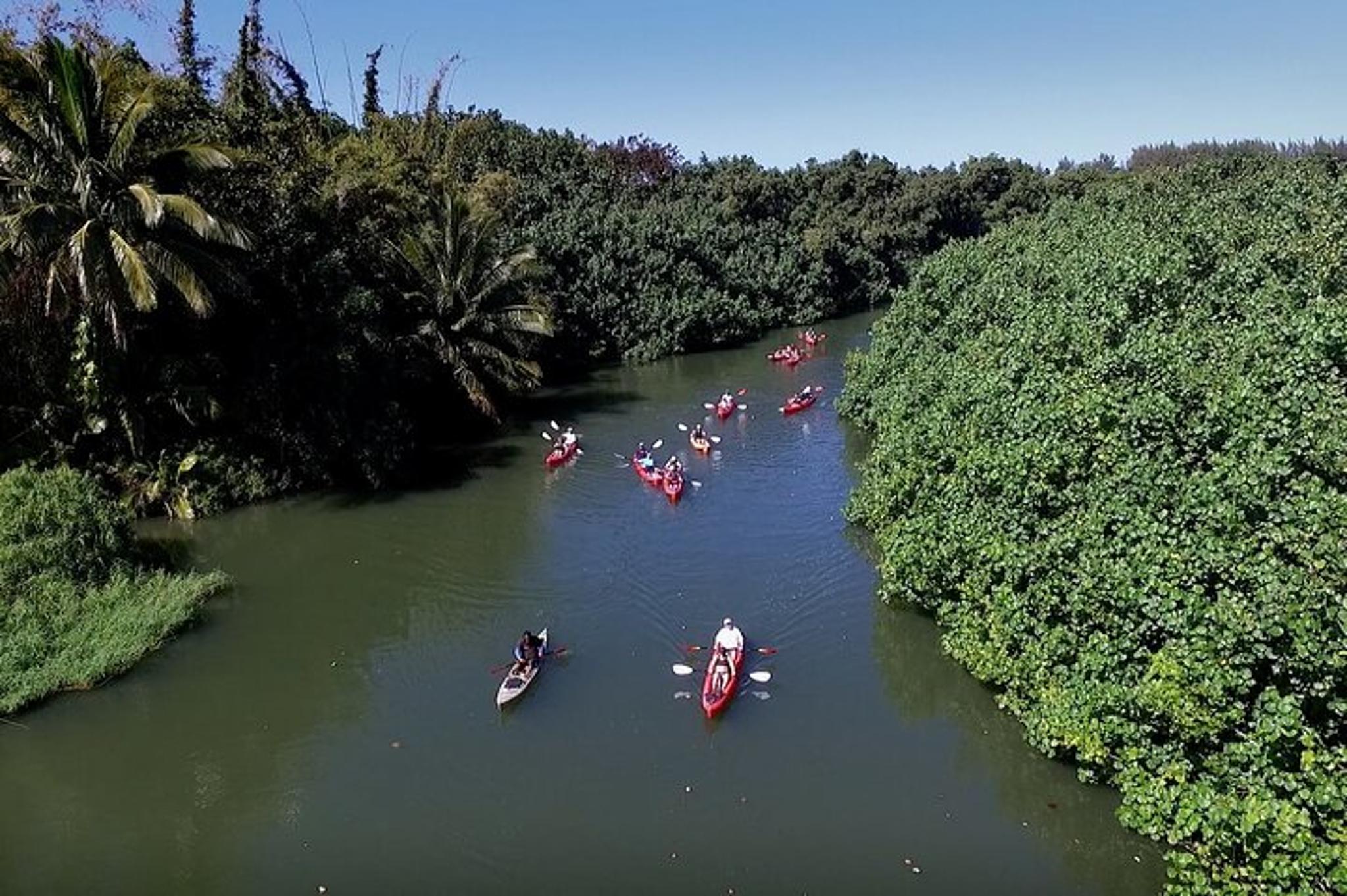 Kauai Kayak and Snorkel Adventure - Image 6