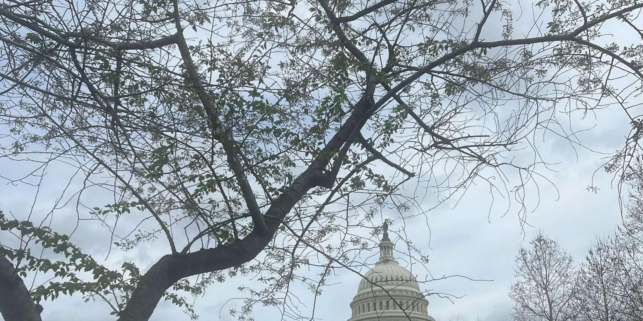 Washington, D.C. Day Trip from New York - Image 4