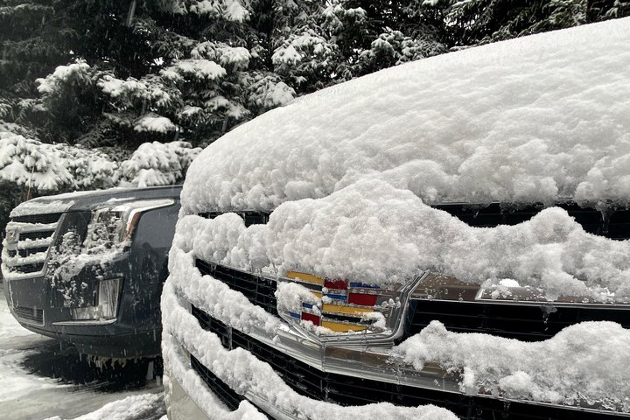 Vail to Denver Airport Shuttle - Image 6