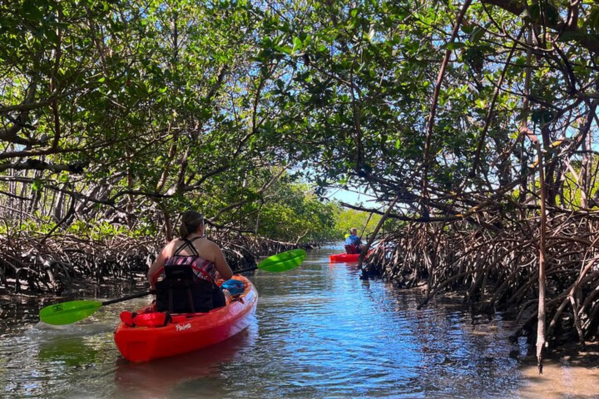 Bonita Springs Eco Kayak Tour