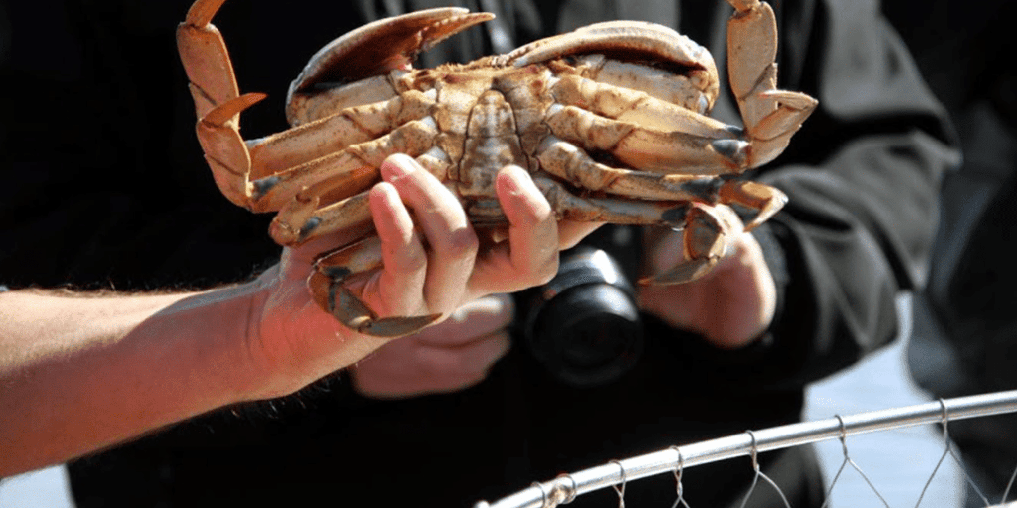 Ketchikan Wilderness Boat Cruise and Crab Feast - Image 6