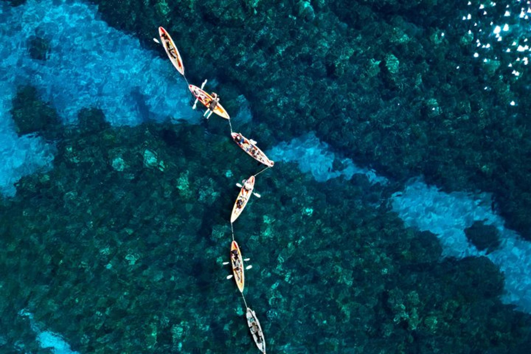 Maui Kayak and Turtle Snorkel Tour - Image 2