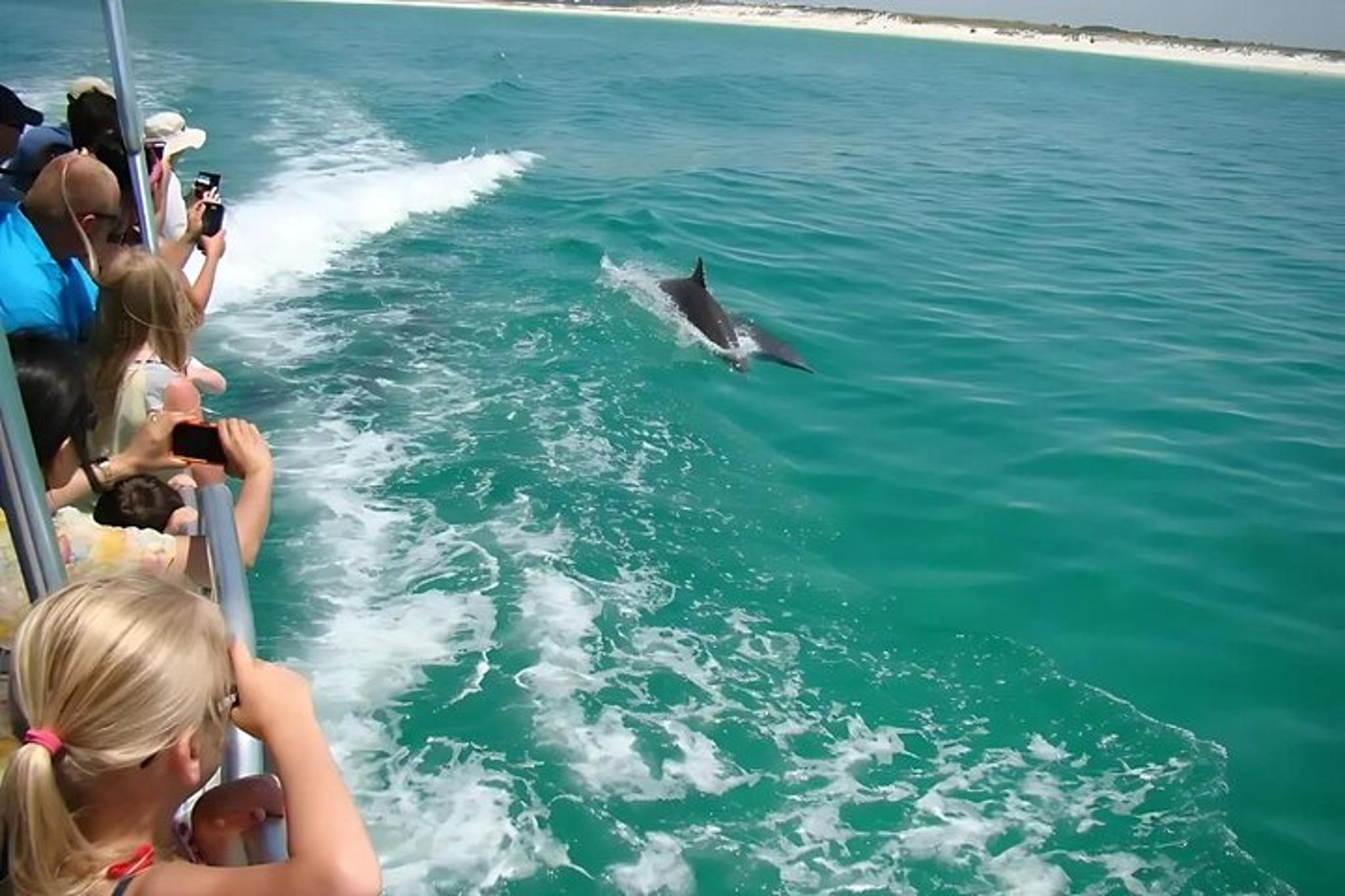 Pensacola Dolphin and Scenic Tour - Image 2