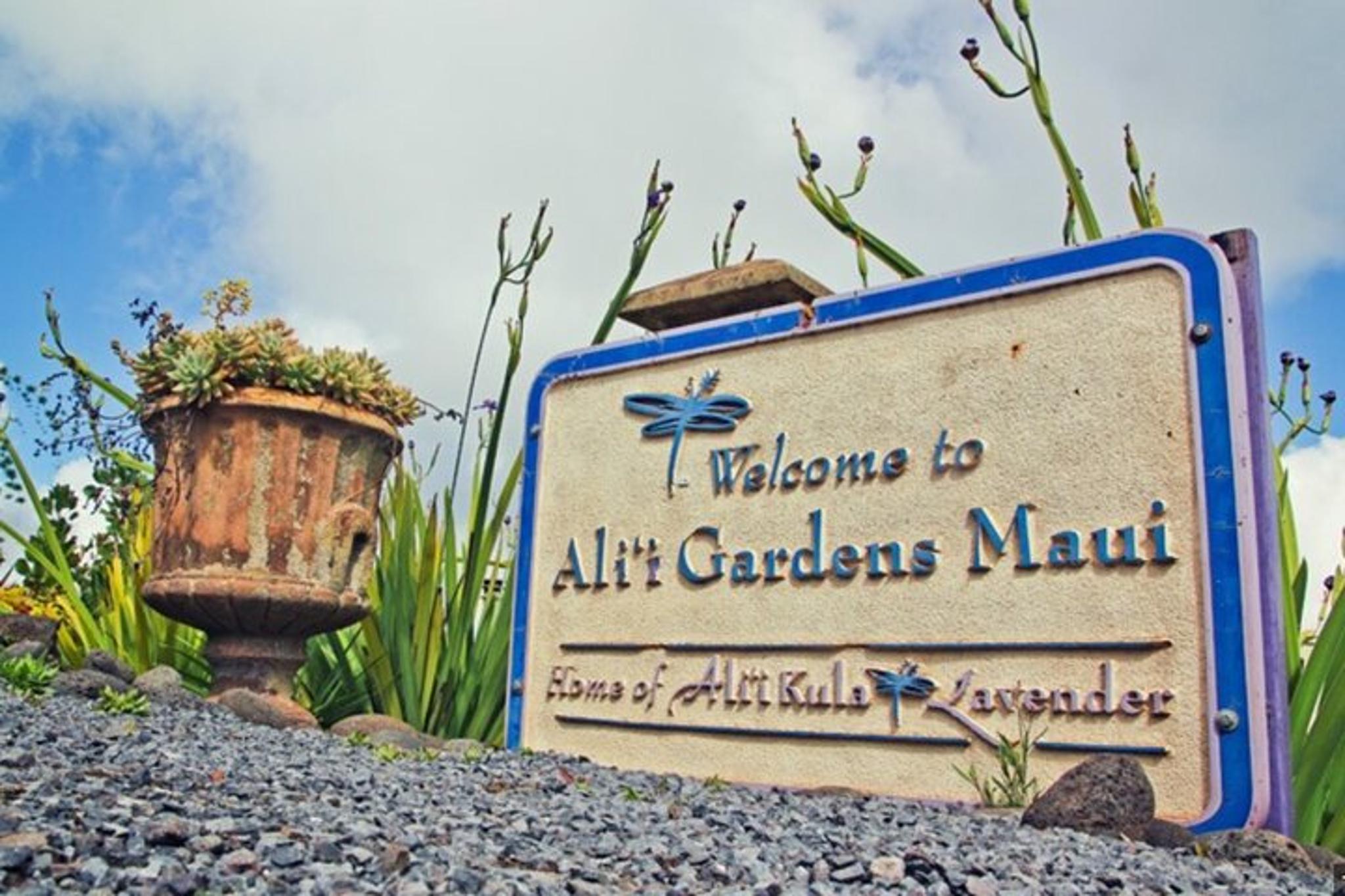 Maui Private Upcountry Tour - Image 3