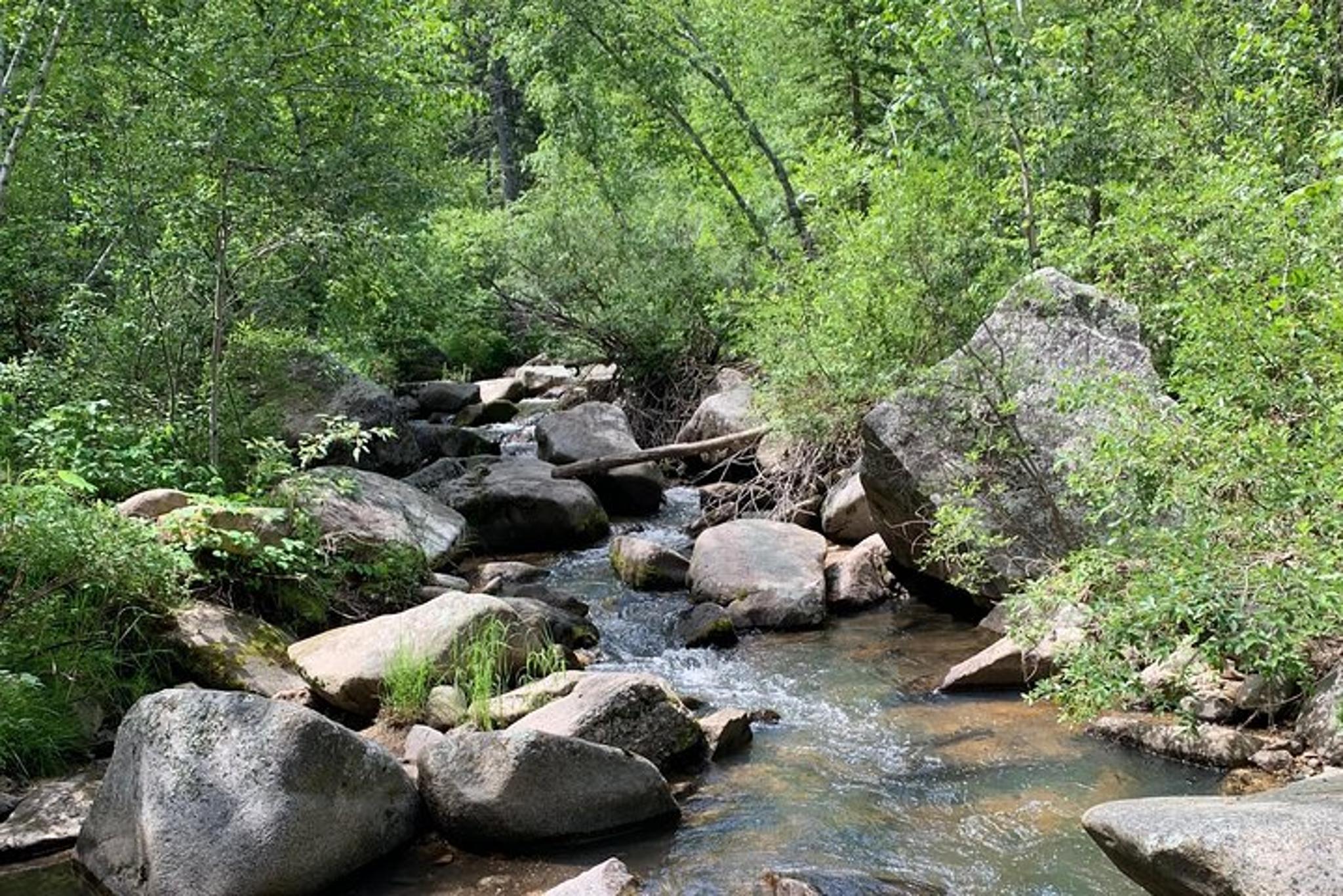 Custer State Park Safari and Hiking Tour - Image 3