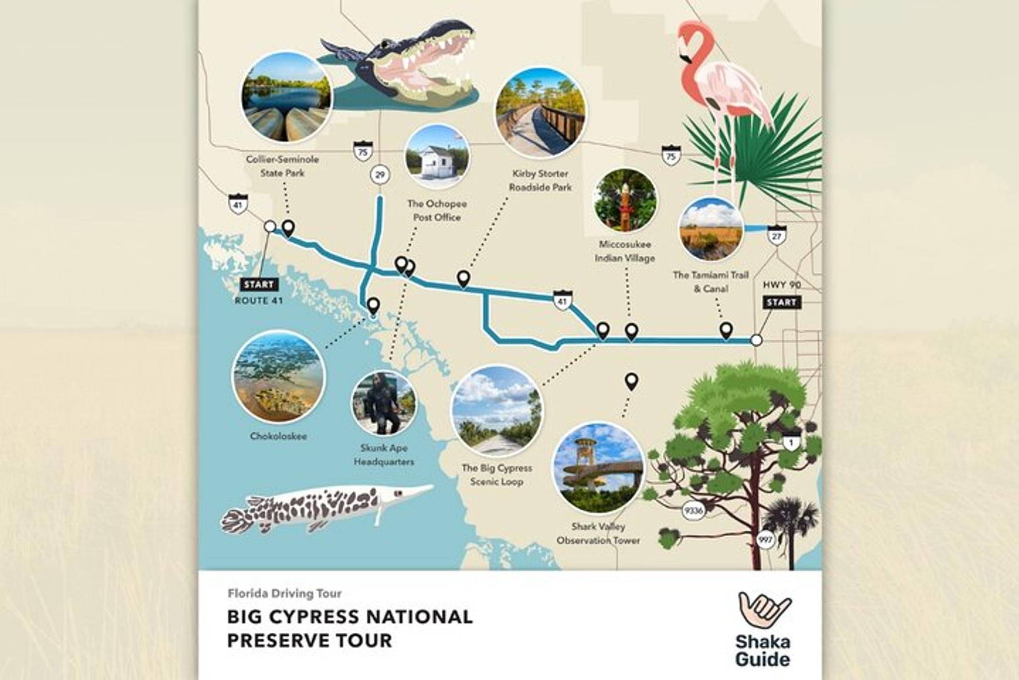 Miami Audio Tour of Big Cypress National Preserve - Image 4