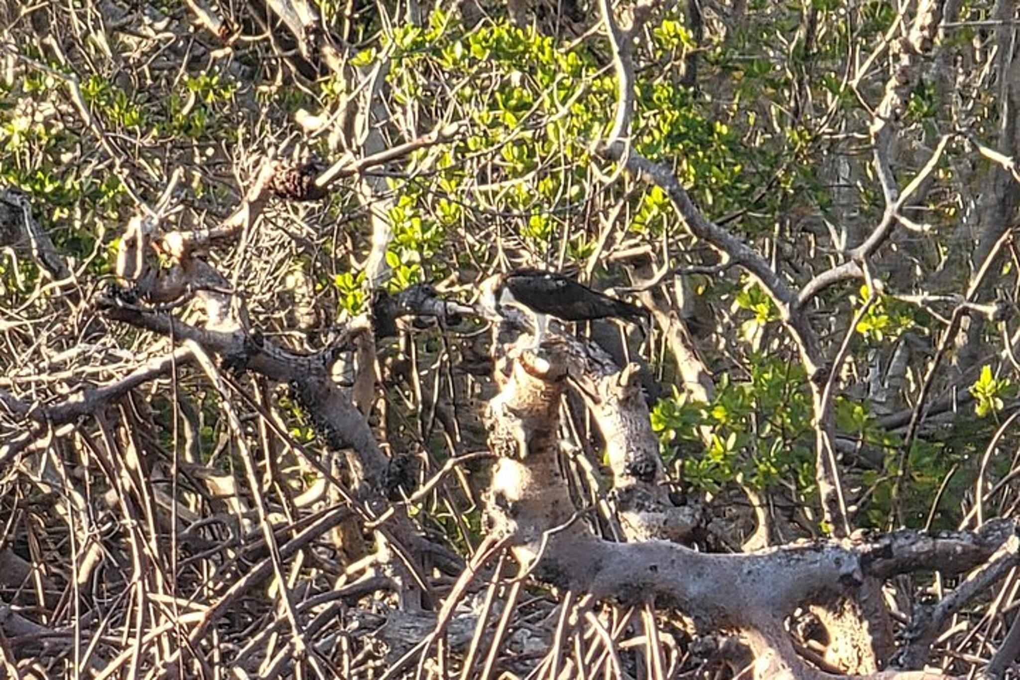 Fort Myers Beach Boat Tour for 12 - Image 6
