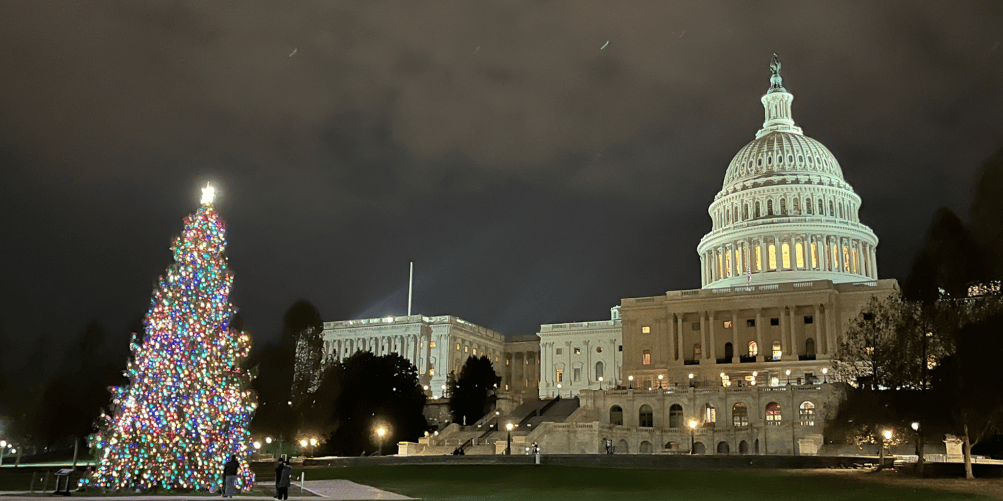 Washington D.C. Christmas Tree & Holiday Lights Tour - Image 6