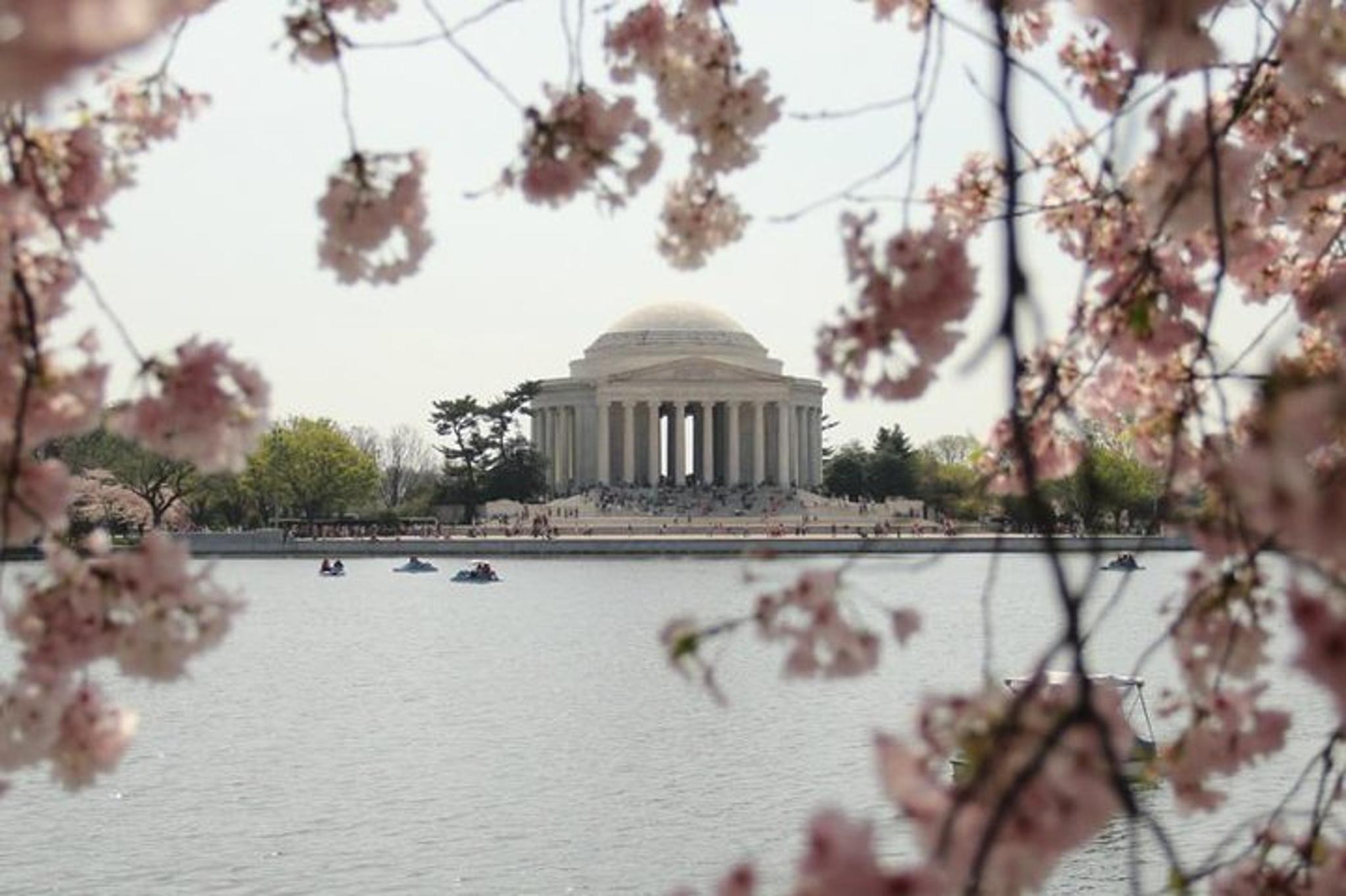 Washington DC Monuments & Memorials Tour - Image 4