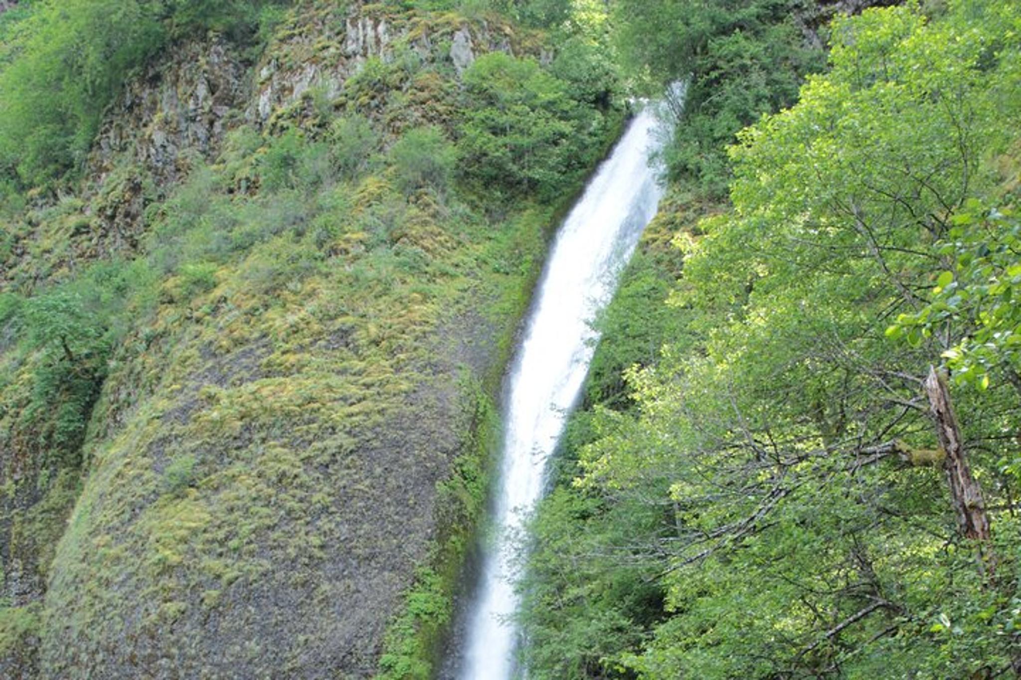Portland City and Gorge Waterfalls Tour - Image 6