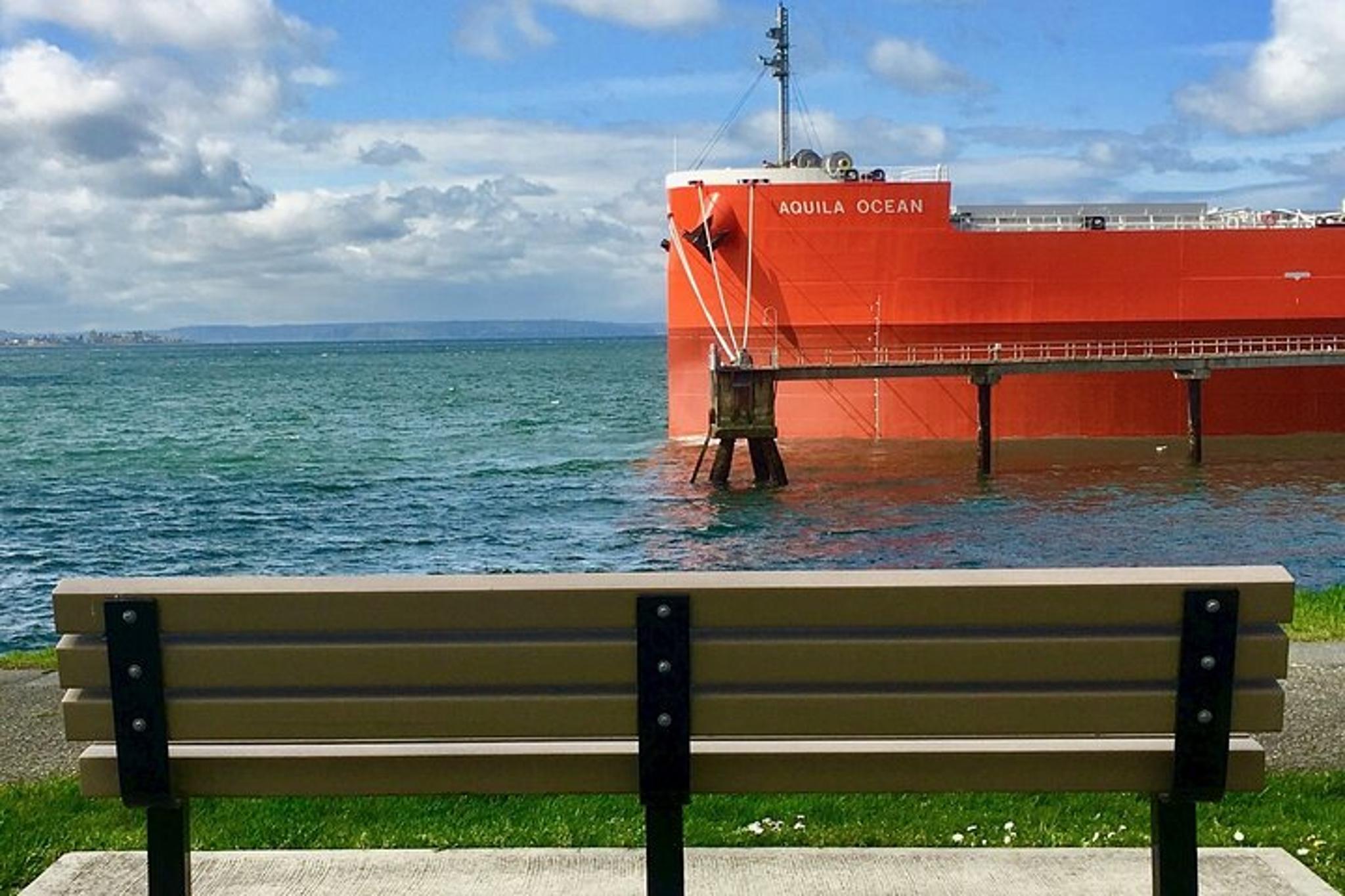 New York City I Am Legend Filming Locations Tour - Image 6