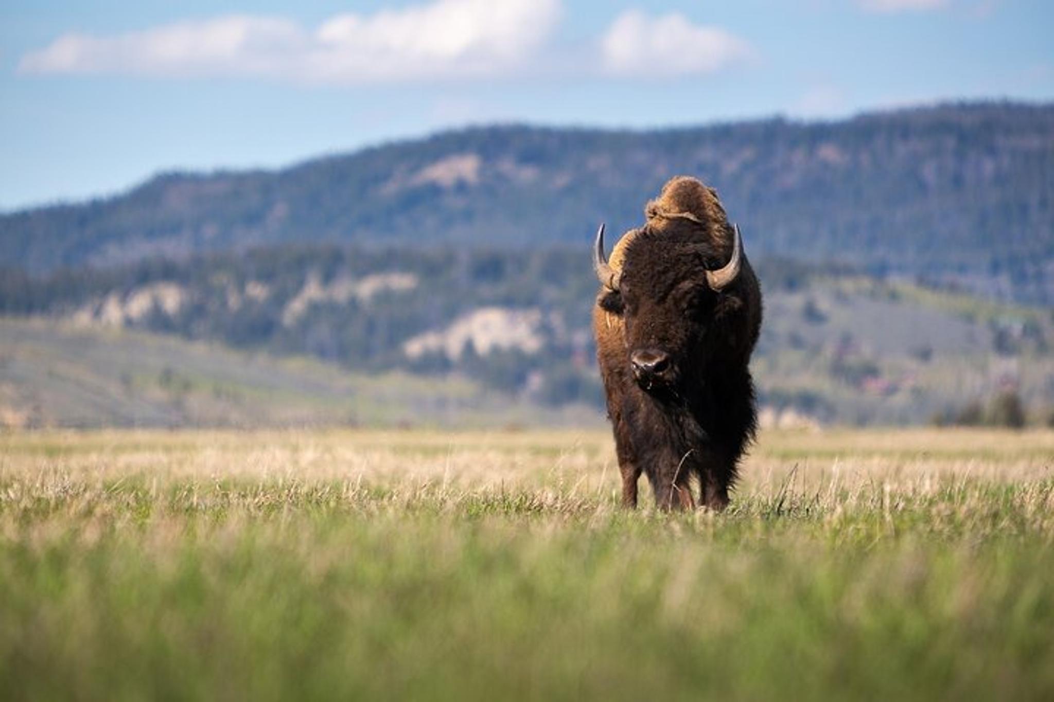 Grand Teton Photography Workshop - Image 5