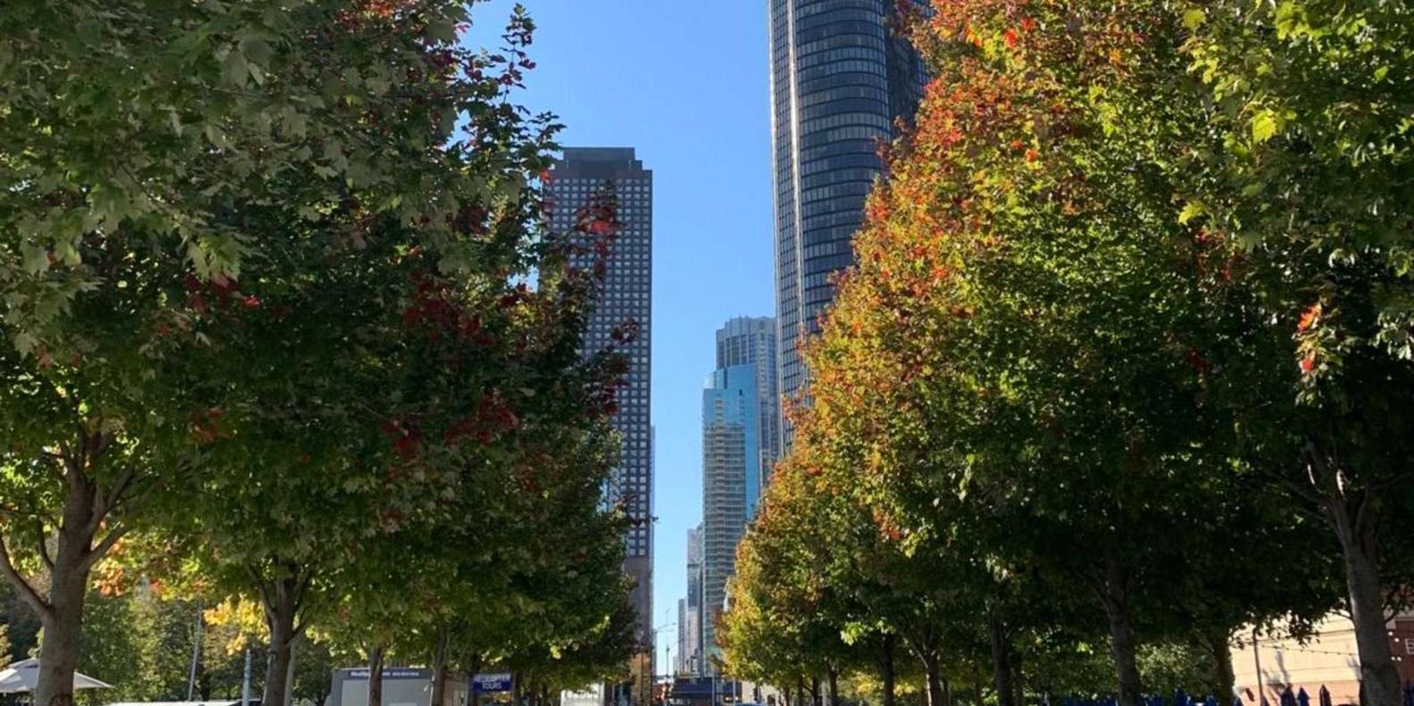 Chicago City Tour by Bus - Image 4