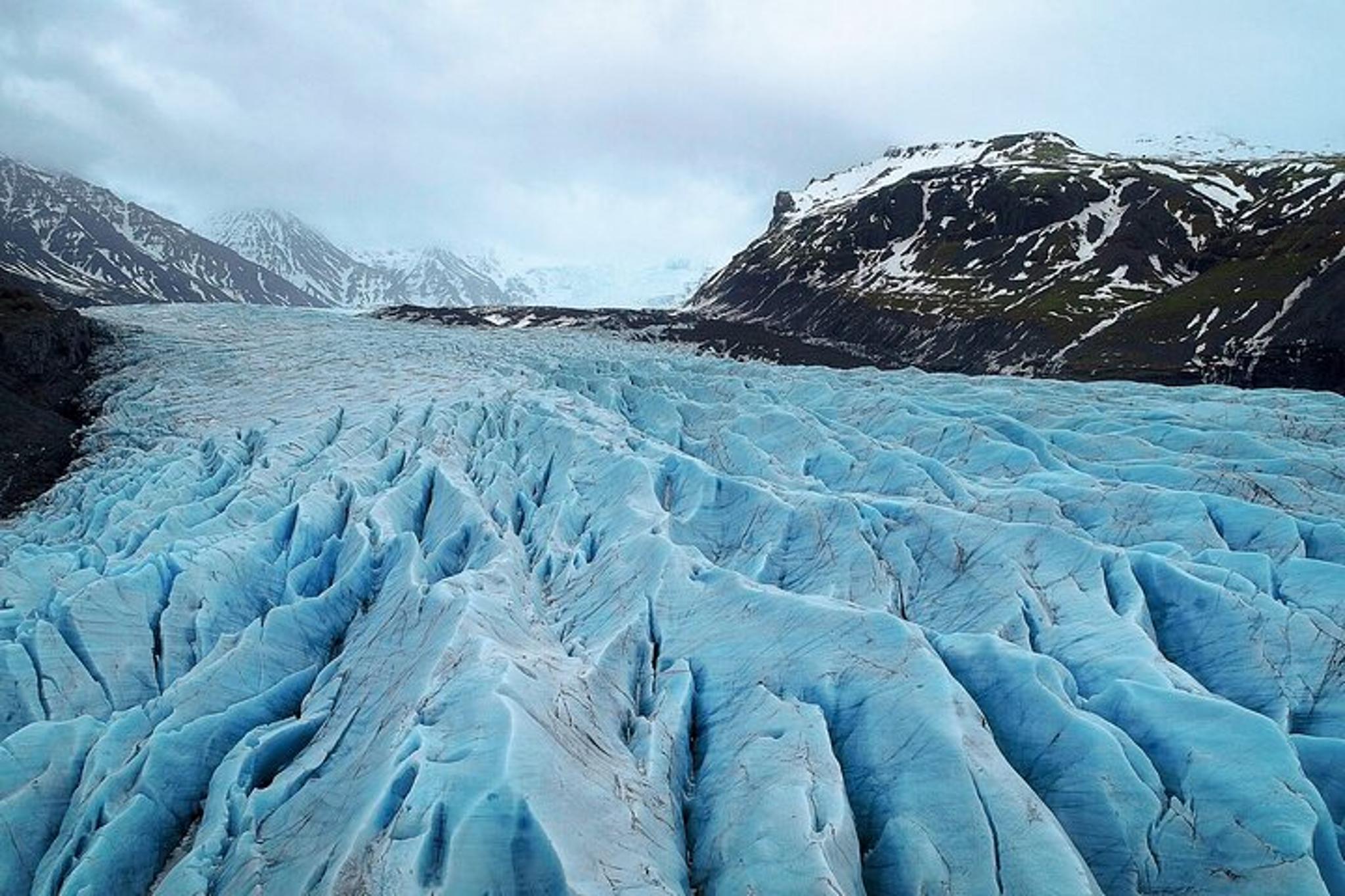 Anchorage Alaskan Highlights Tour Denali to Kenai Fjords - Image 4