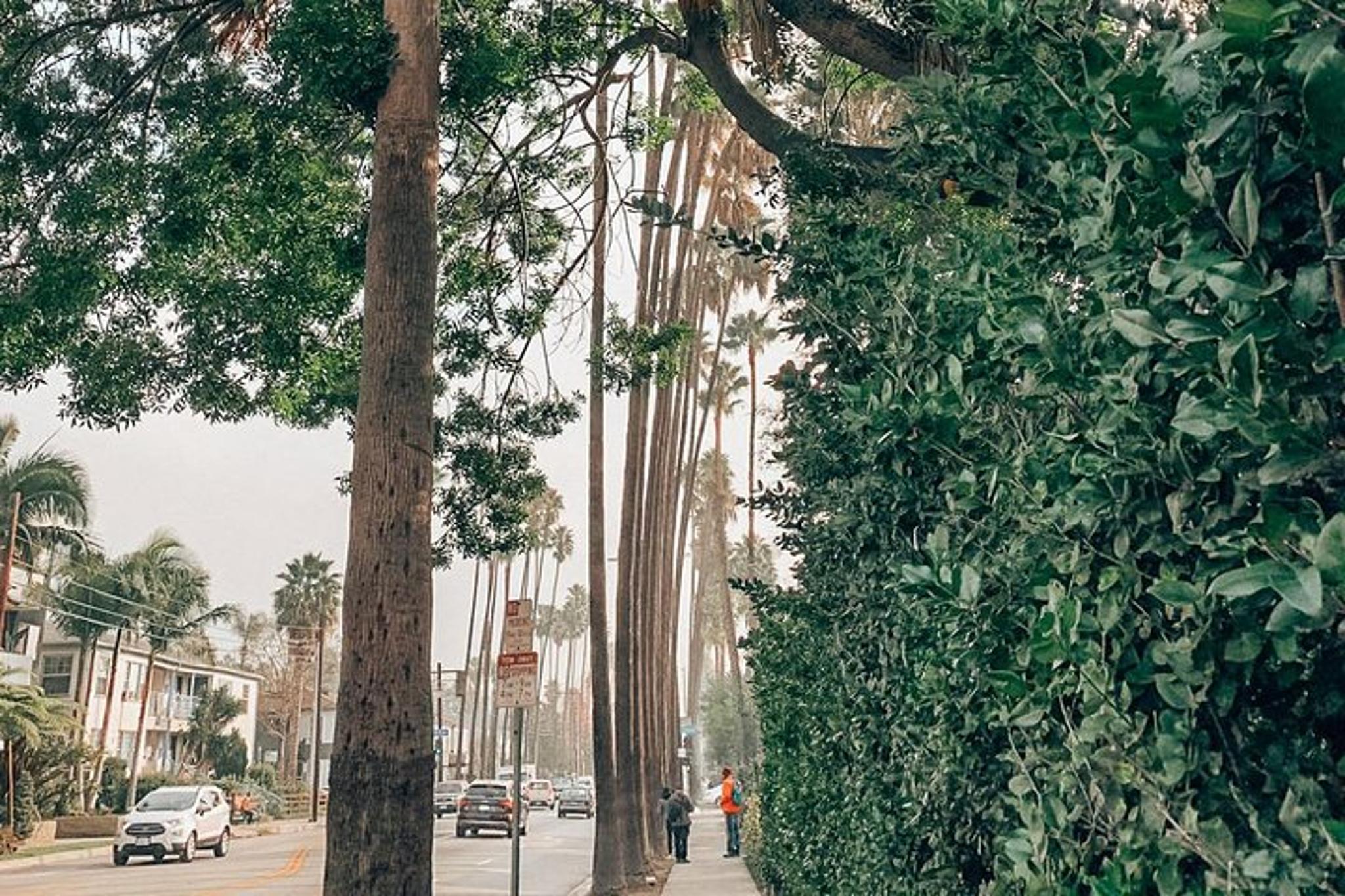 Los Angeles Hollywood History Walking Tour - Image 6