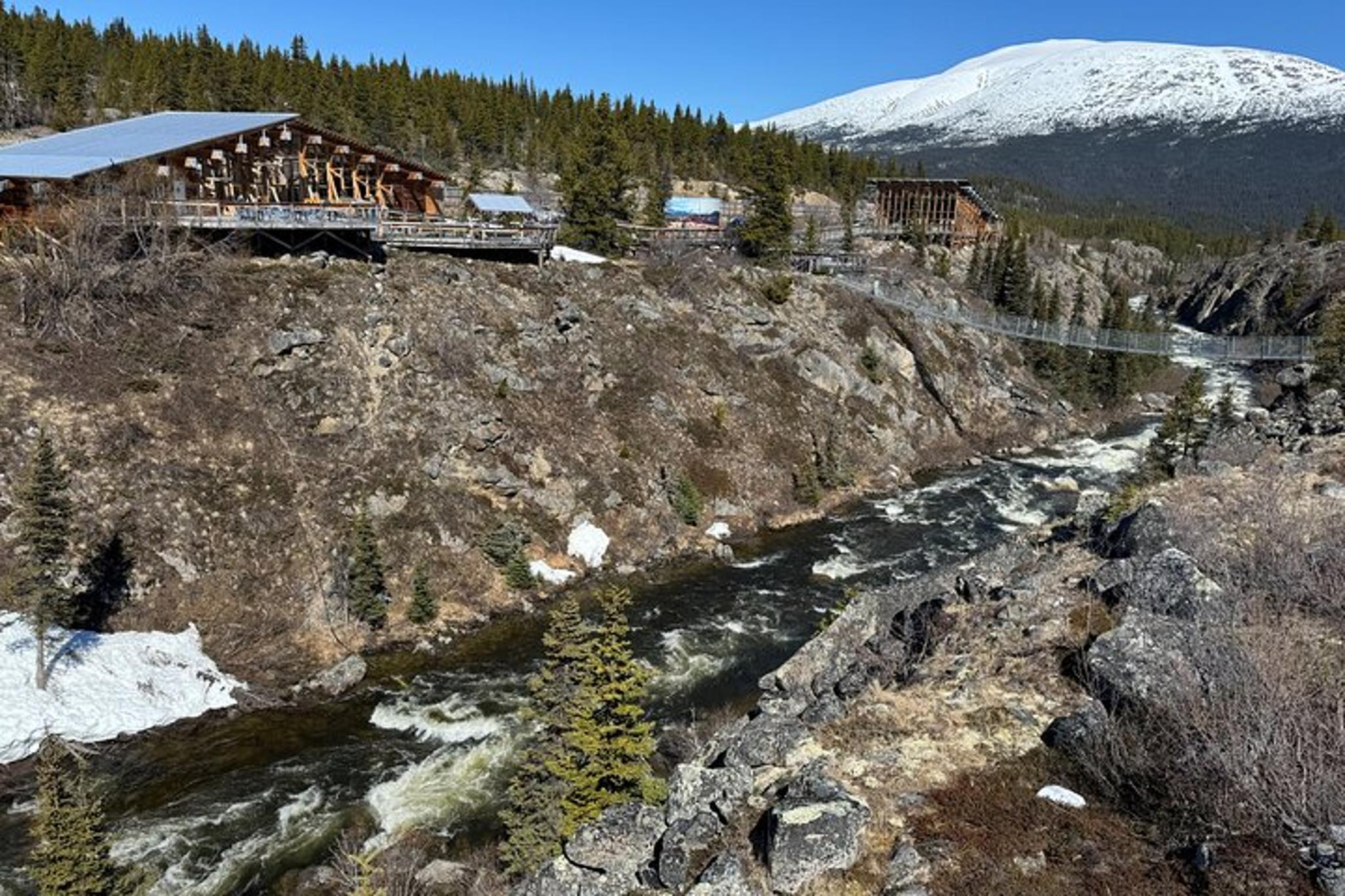 Skagway Suspension Bridge and Valley Tour - Image 4