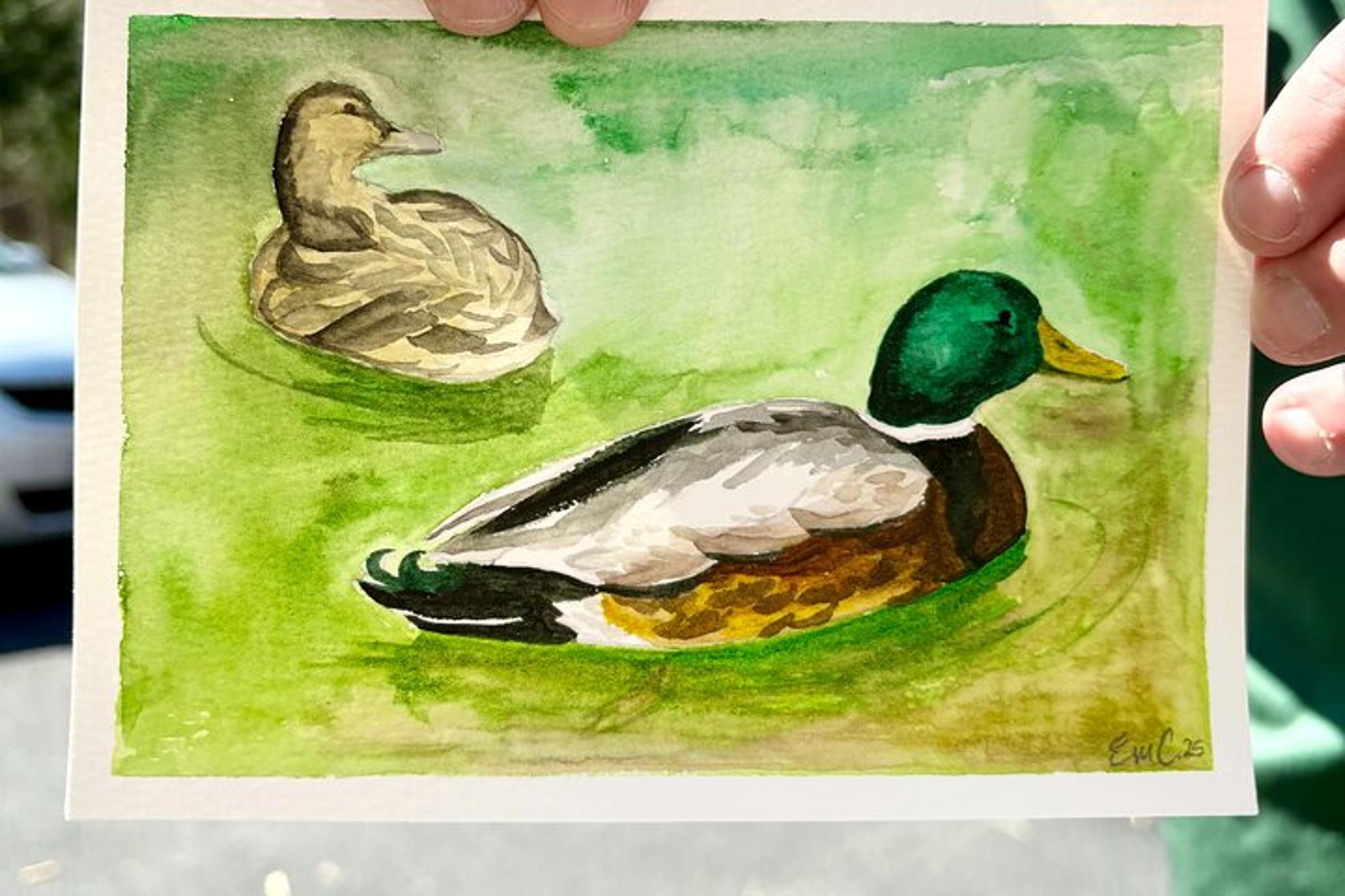 Annapolis Duck Painting Activity on the Docks