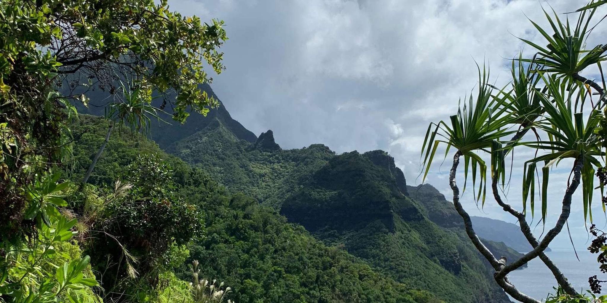 Kauai Scenic Horseback Ride - Image 5