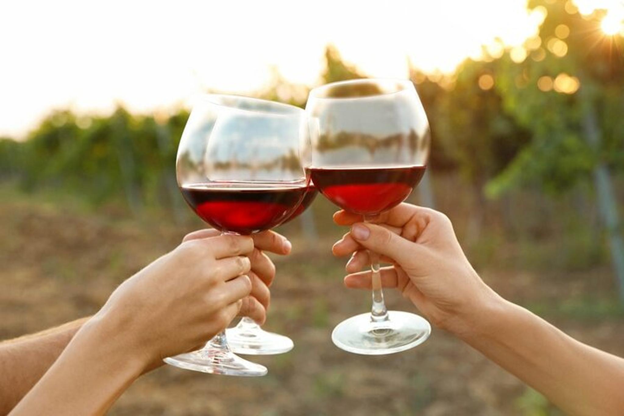 Canandaigua Wine Trail Experience - Image 3