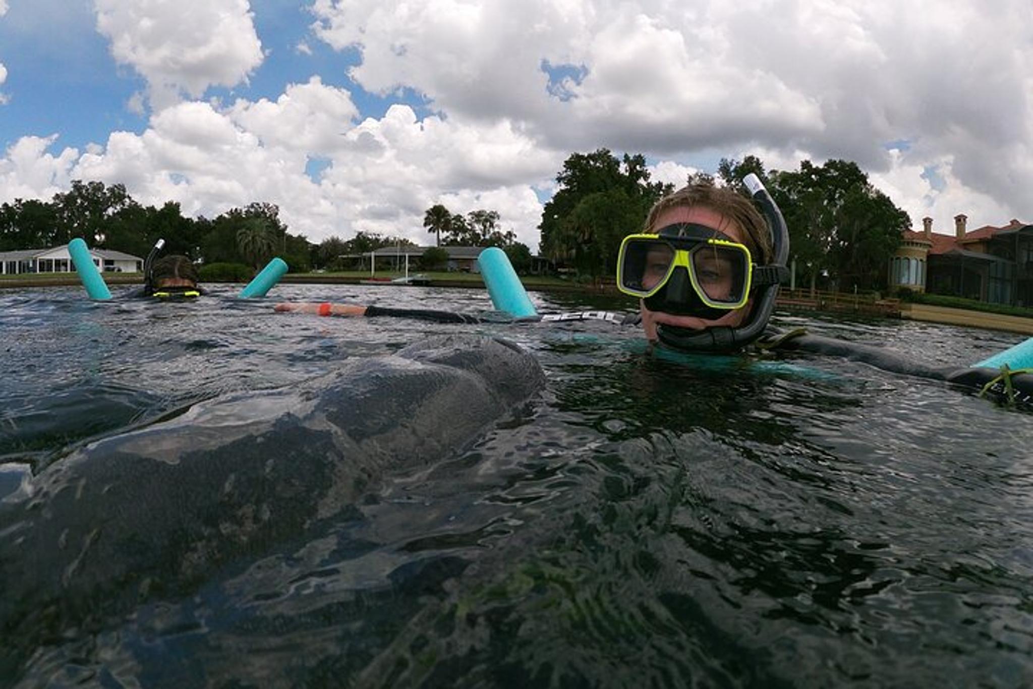 Crystal River Manatee Swim Small Group 3 hr - Image 3