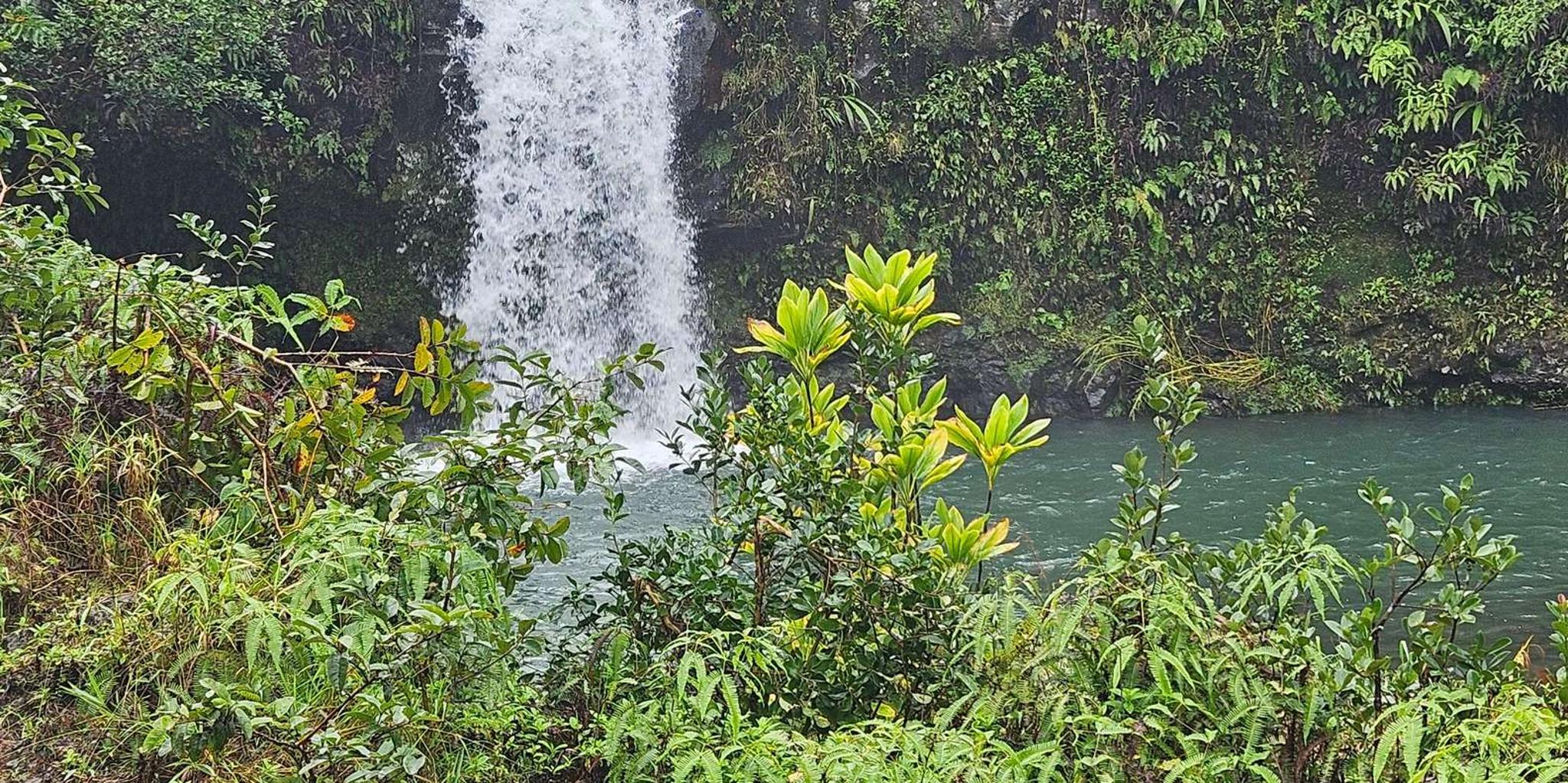 Hana Maui Private Adventure - Image 2