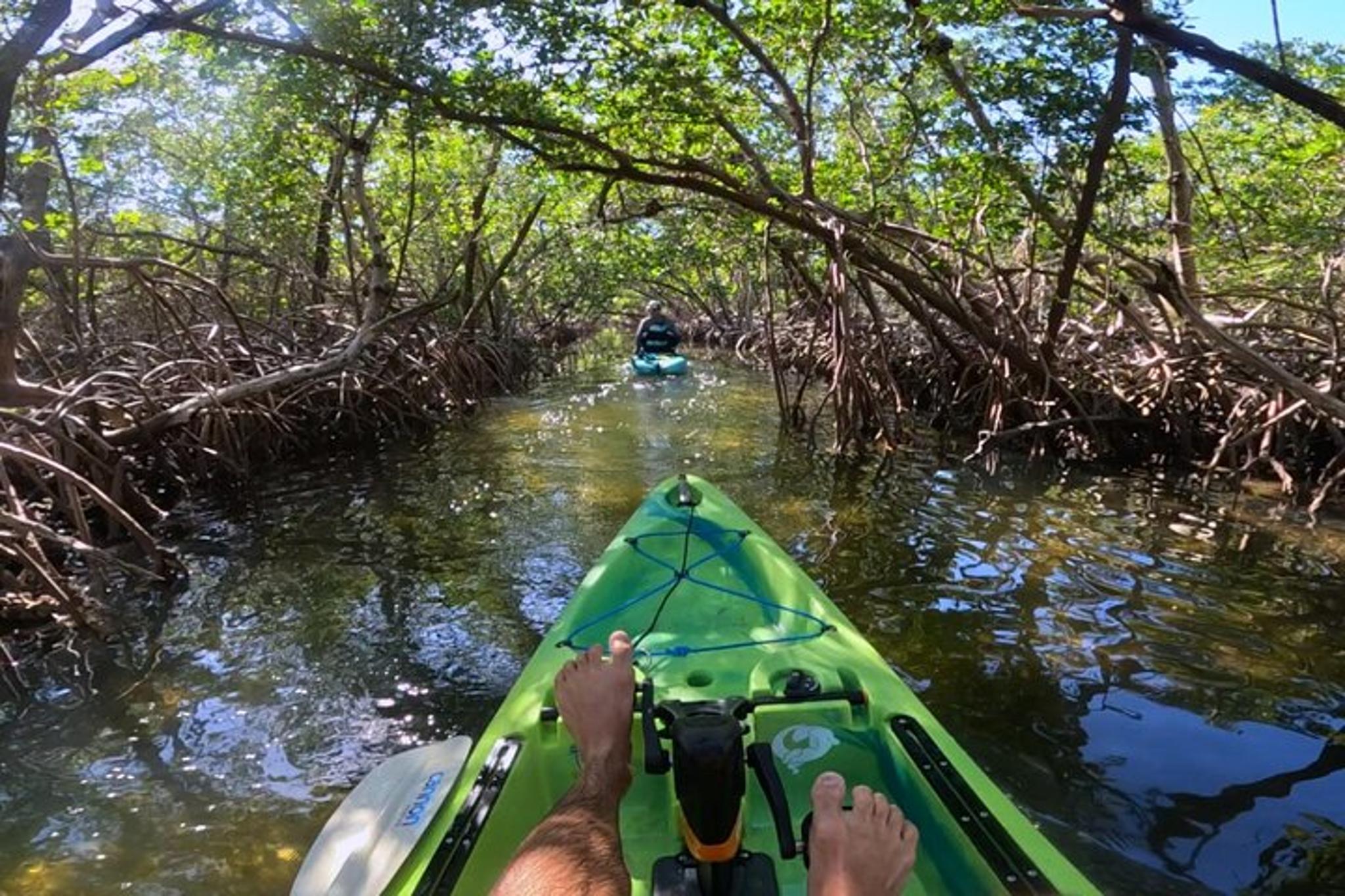 Sarasota Pedal Kayak Tour