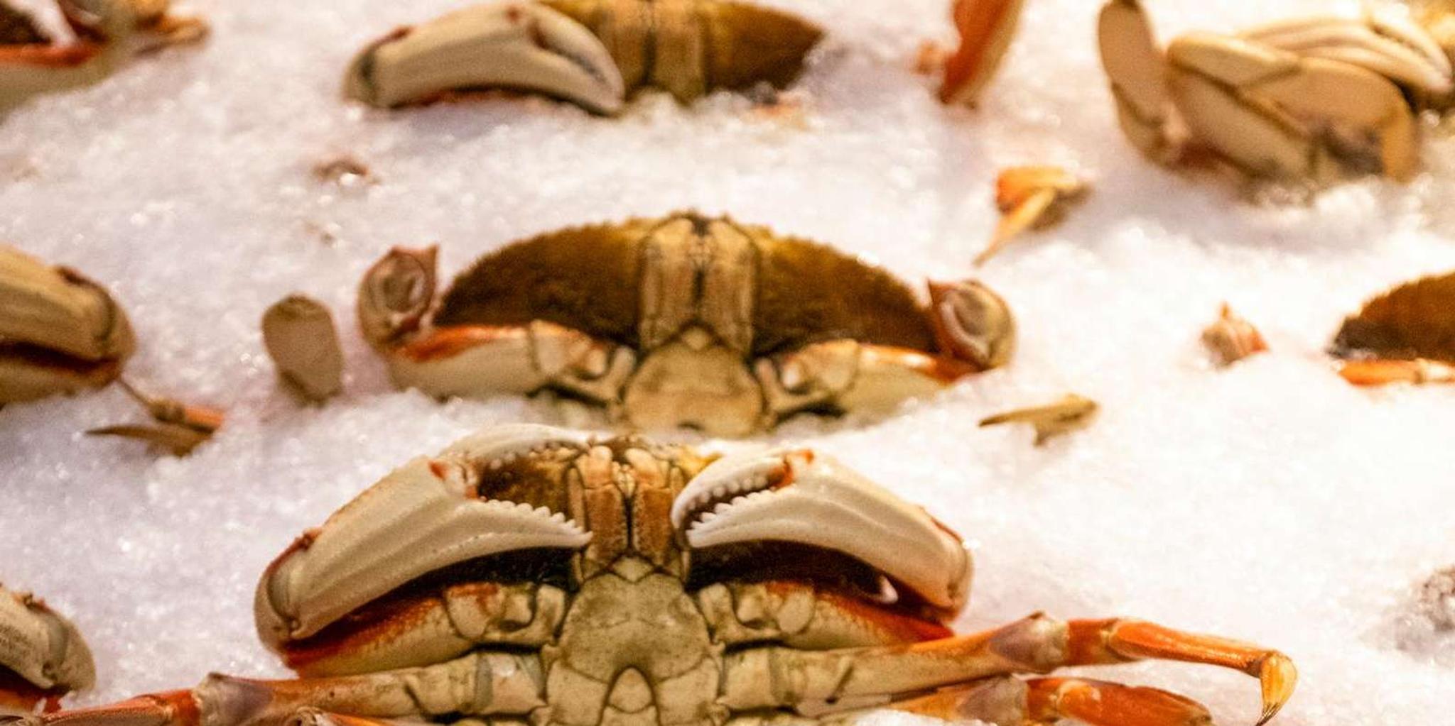 Seattle Seafood Tour with Market Visit