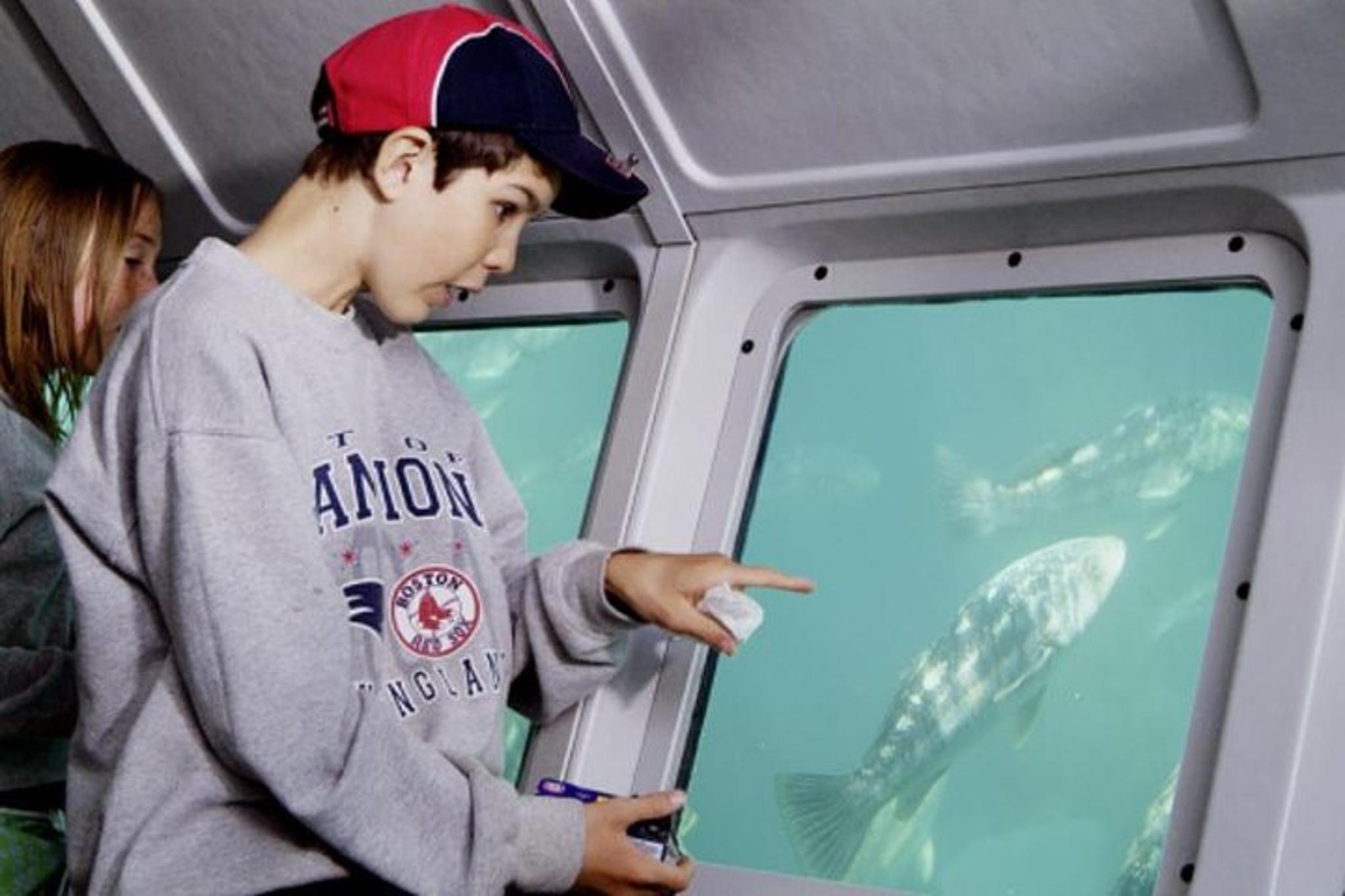 Catalina Island Undersea Expedition - Image 4