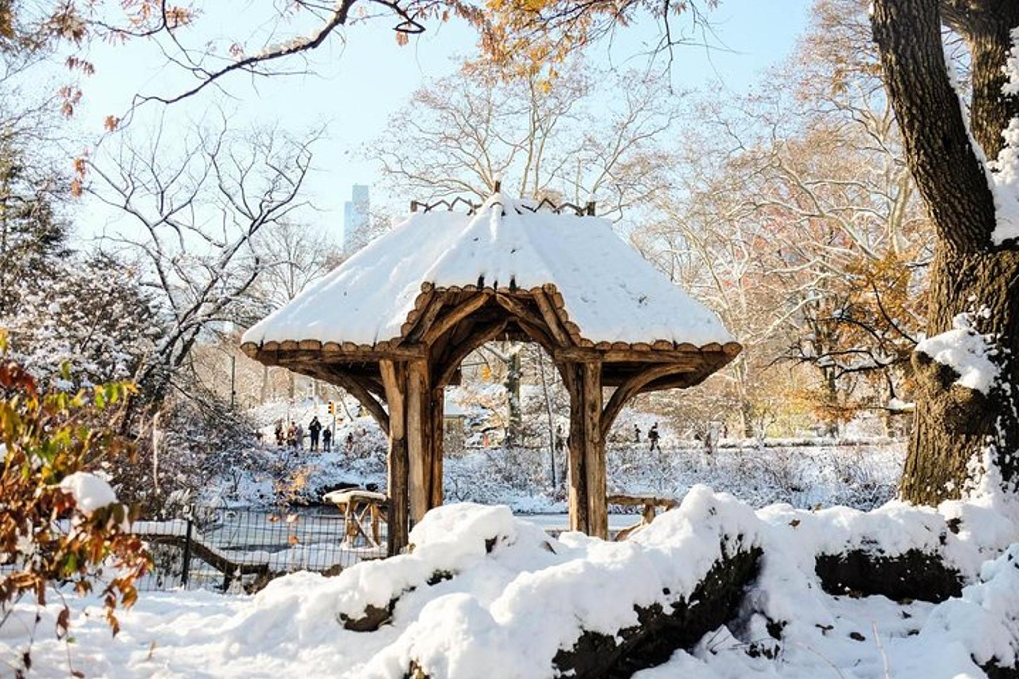 New York Central Park Walking Tour in French - Image 3