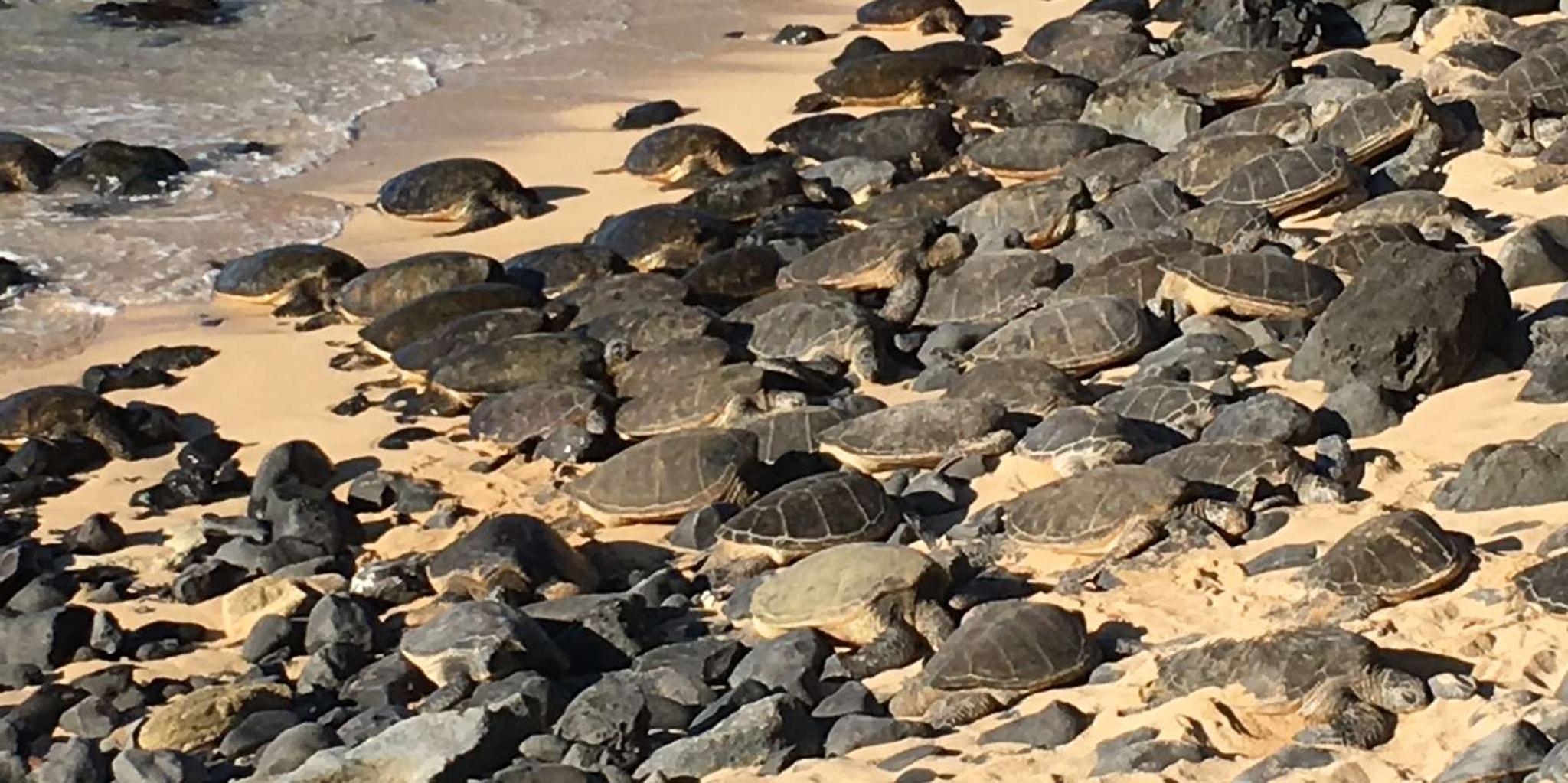 Maui Private Valley Isle Tour - Image 6