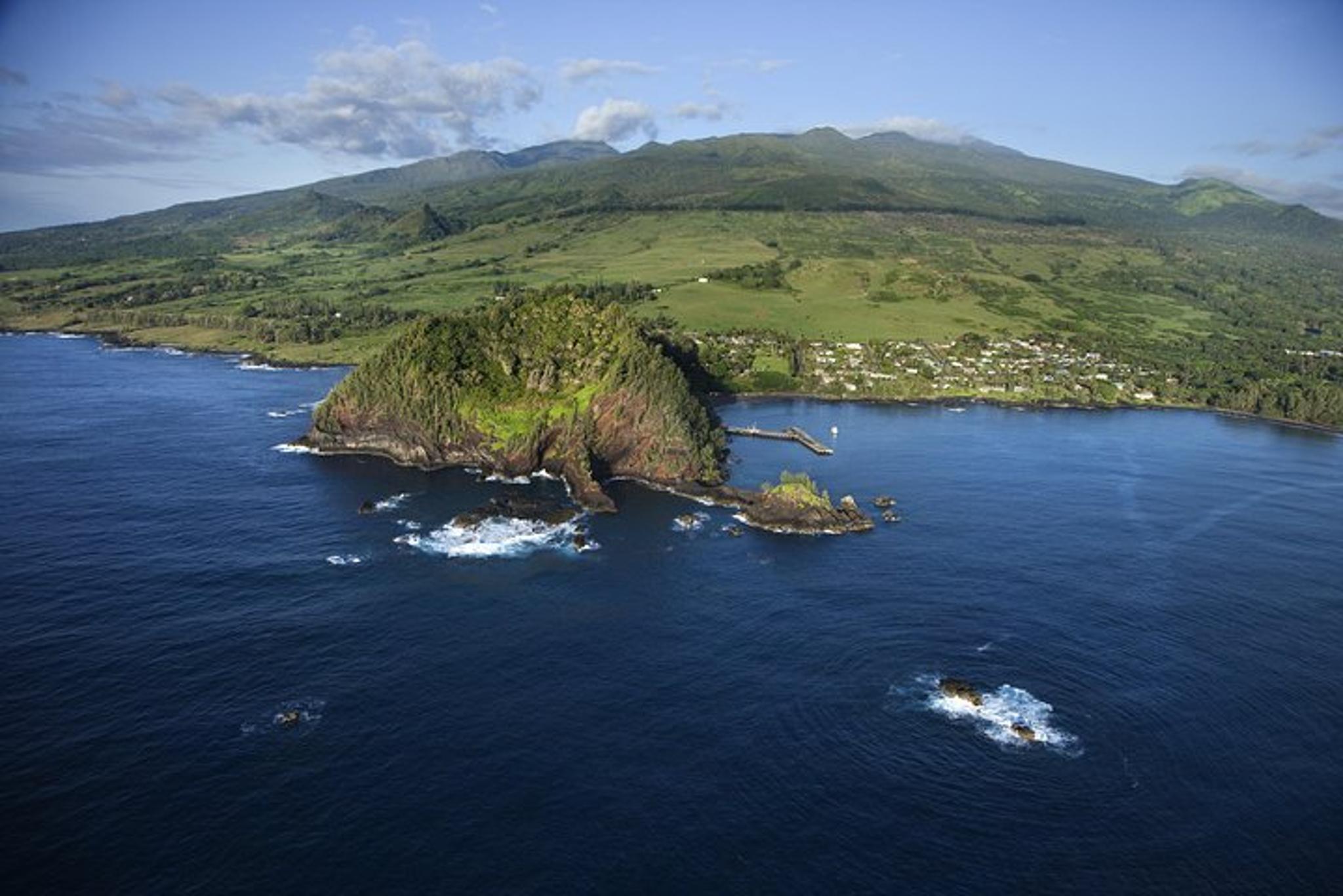 Maui Road to Hana Limo-Van and Helicopter Tour - Image 3