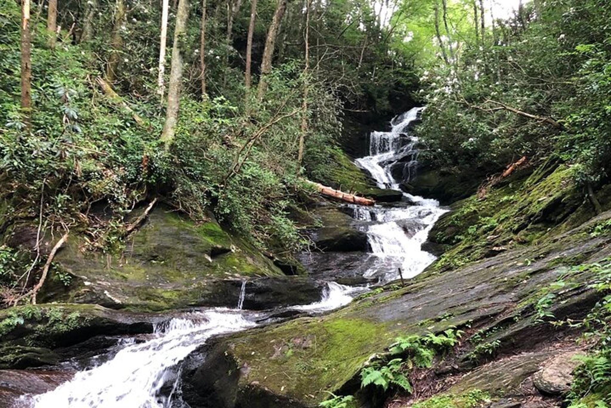 Blue Ridge Parkway Private Tour Full Day - Image 2