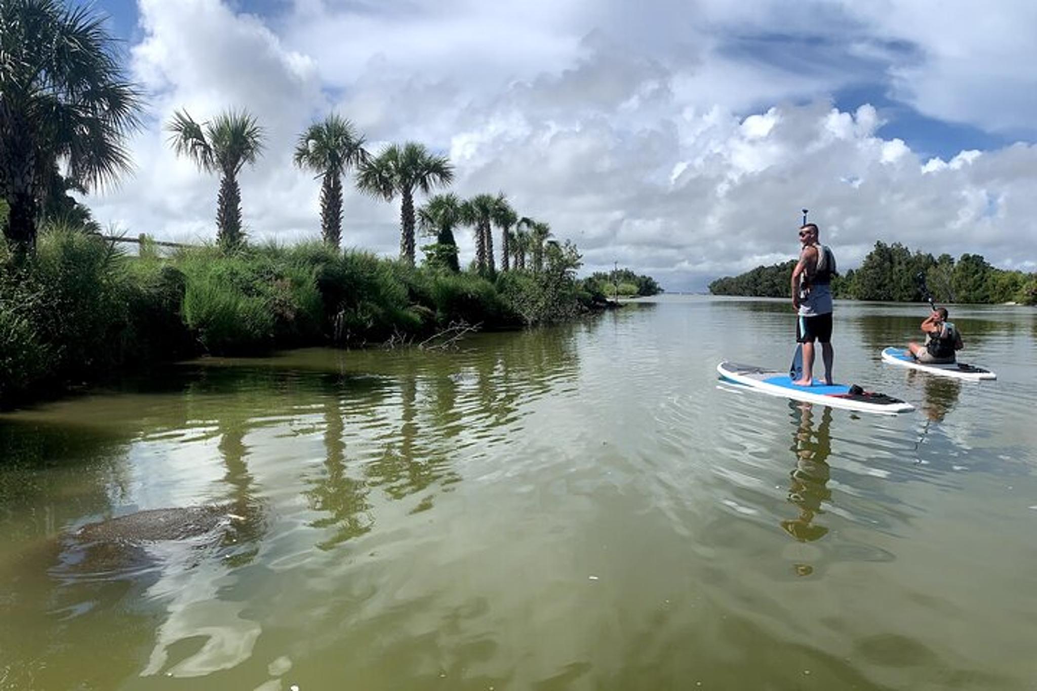 Florida Wildlife Refuge Kayak Tour