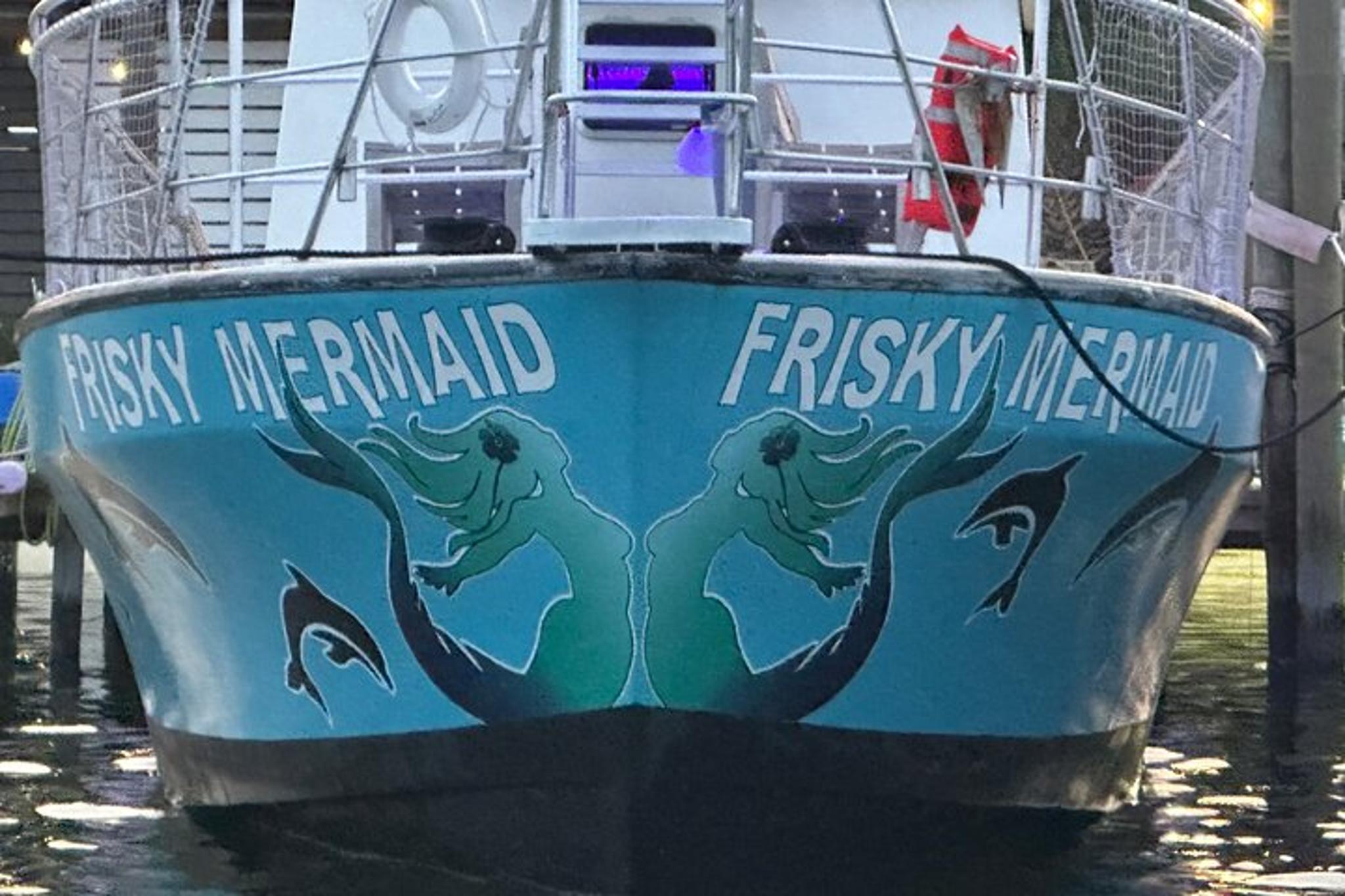 Pensacola Beach Dolphin Sightseeing Cruise - Image 5