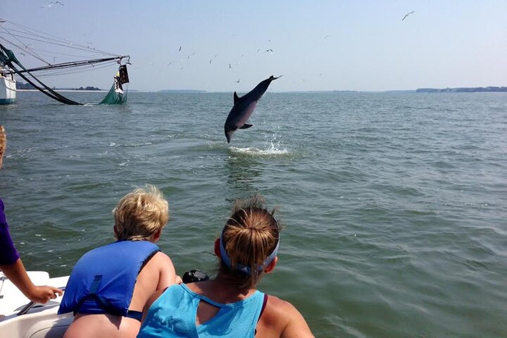 Hilton Head Dolphin and Nature Tour - Image 6