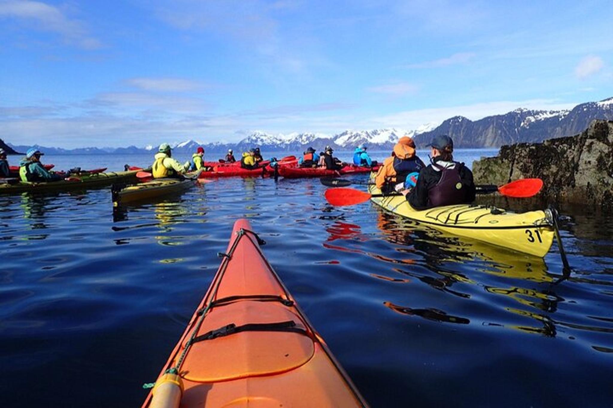 Seward Kayak Adventure in Resurrection Bay - Image 4