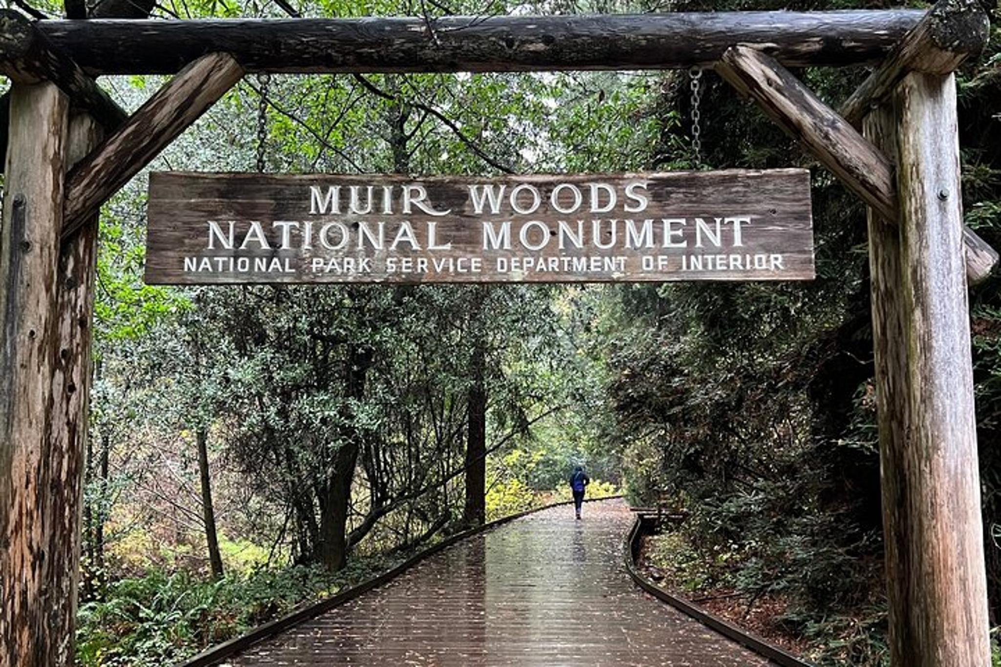 San Francisco Muir Woods and Sausalito Tour