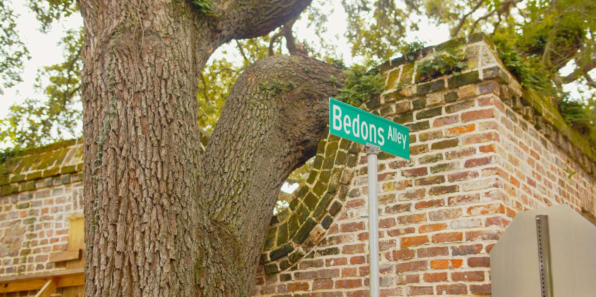 Charleston Historic Walking Tour - Image 2