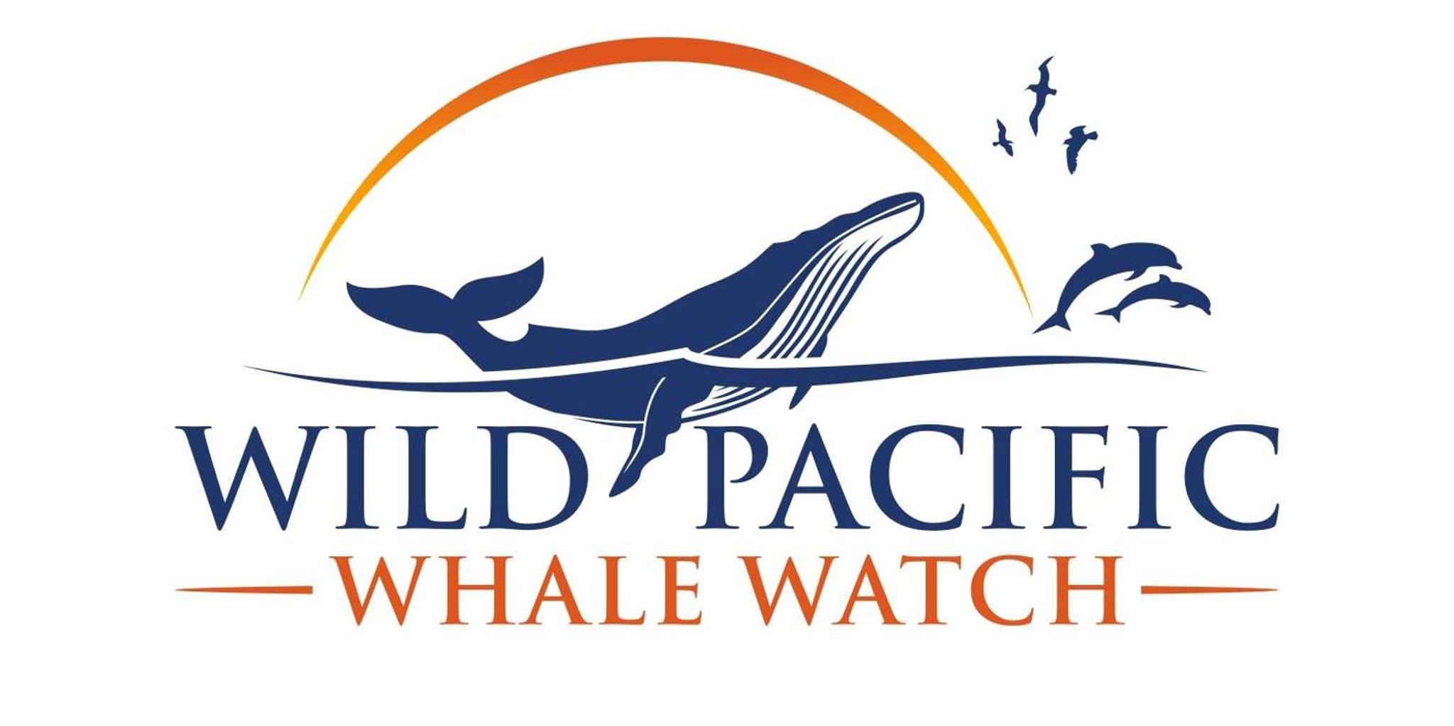 San Diego Whale Watching and Dolphin Tour - Image 4