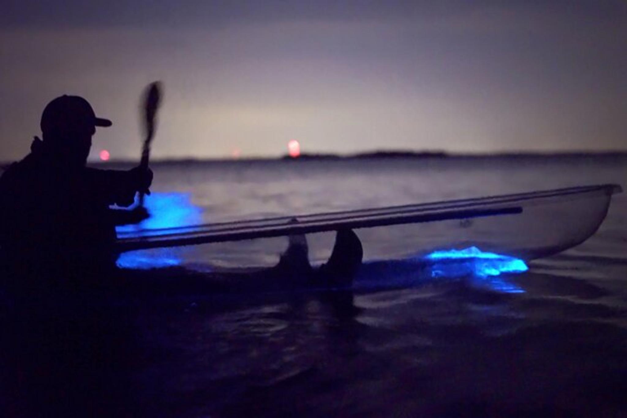 Titusville Bioluminescence Clear Kayak Tour