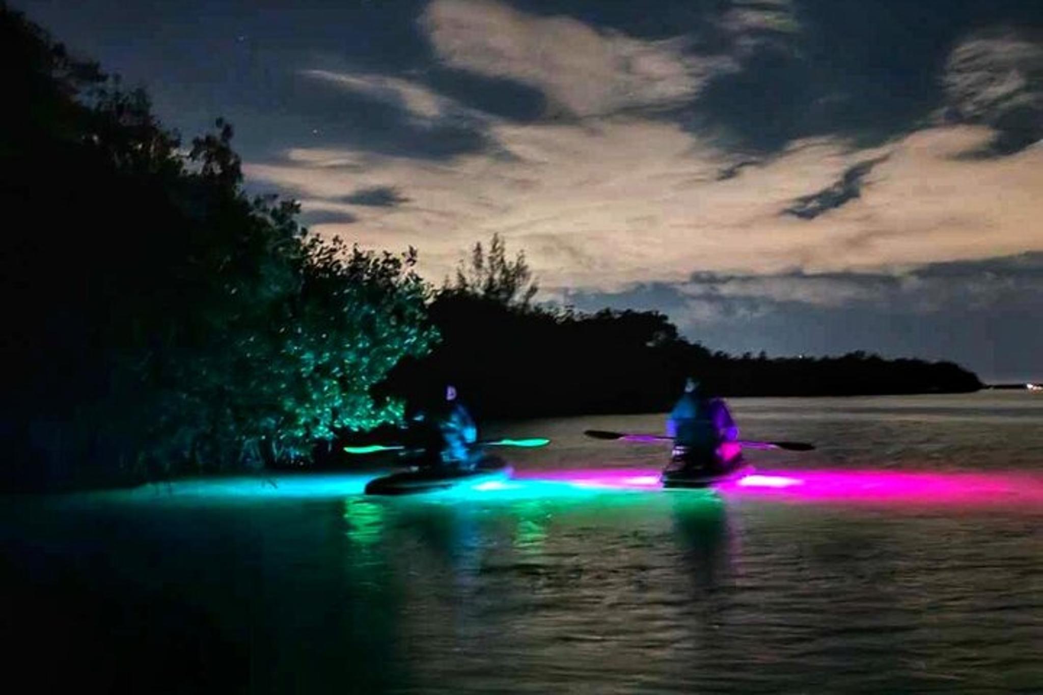 Indian River Bioluminescent Kayak Tour - Image 3
