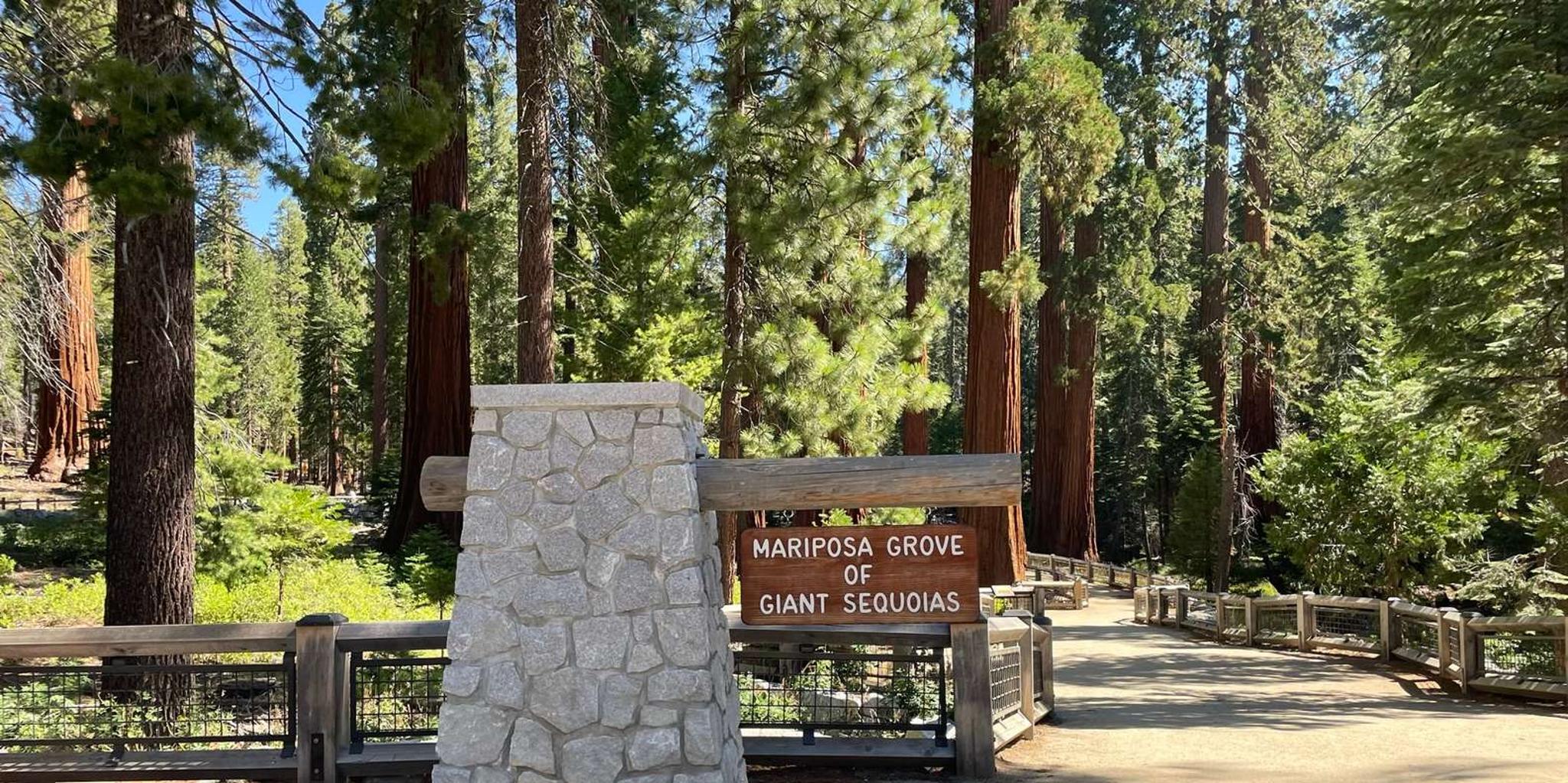 Yosemite National Park & Giant Sequoias Tour from San Francisco - Image 2